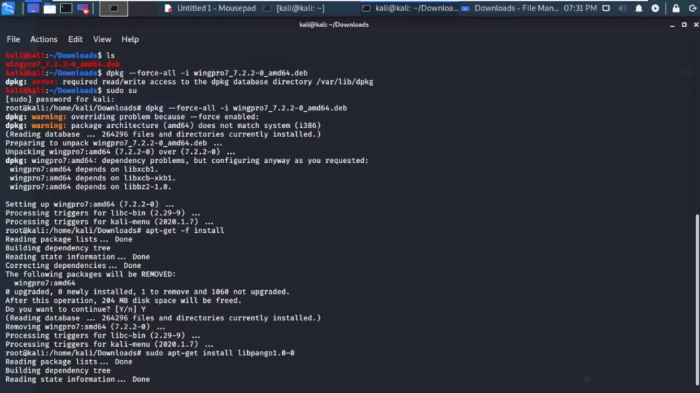 Ошибка в Kali Linux: что это значит