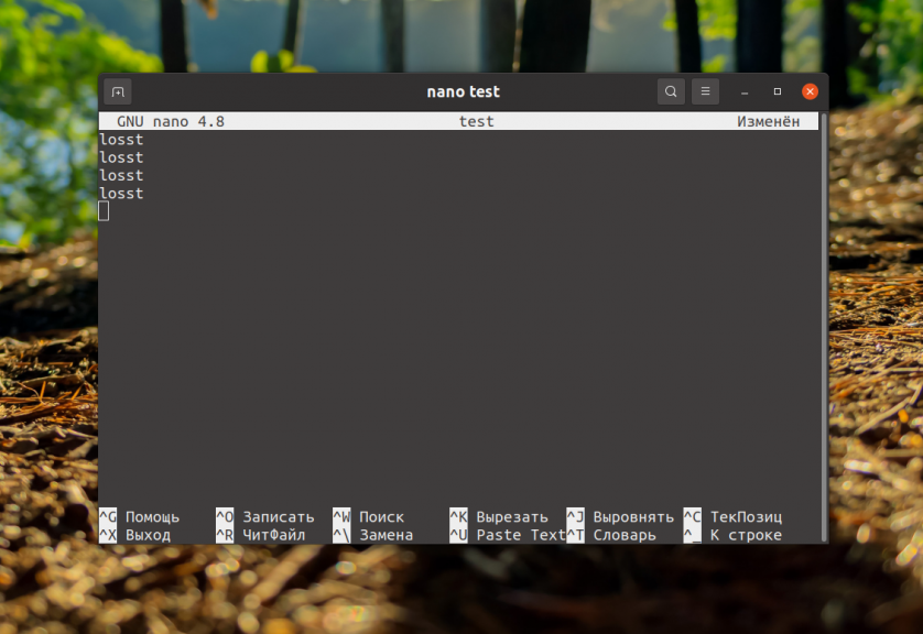 Saving a file in Nano Linux