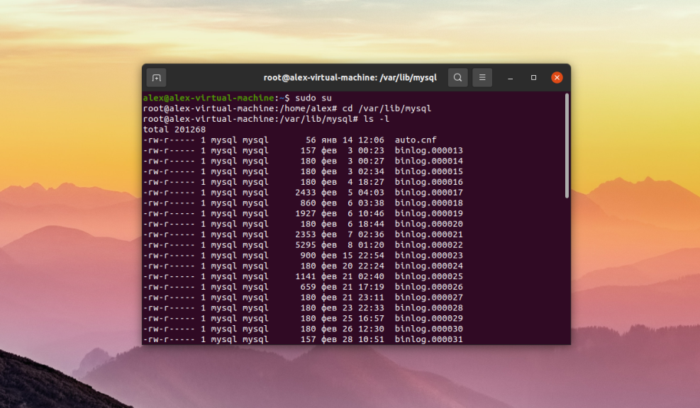 How to view where database files are stored in MySQL DBMS