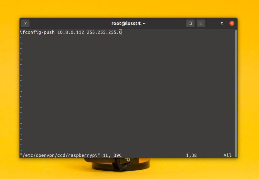 How to make a static IP of the OpenVPN client.