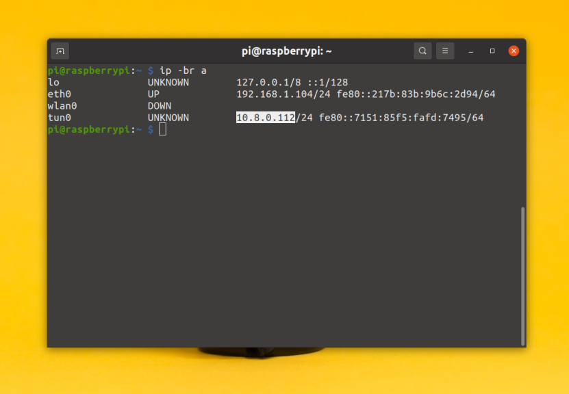 How to make a static IP of the OpenVPN client.