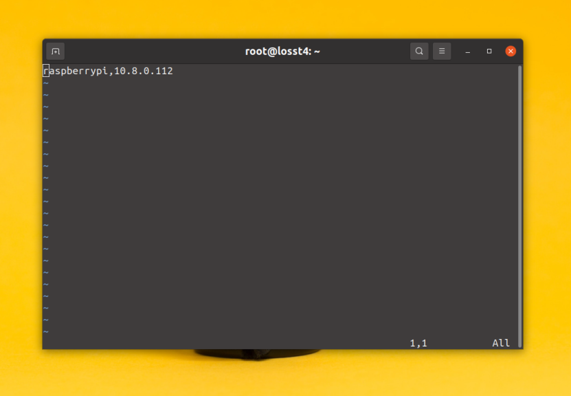 How to make a static IP of the OpenVPN client.