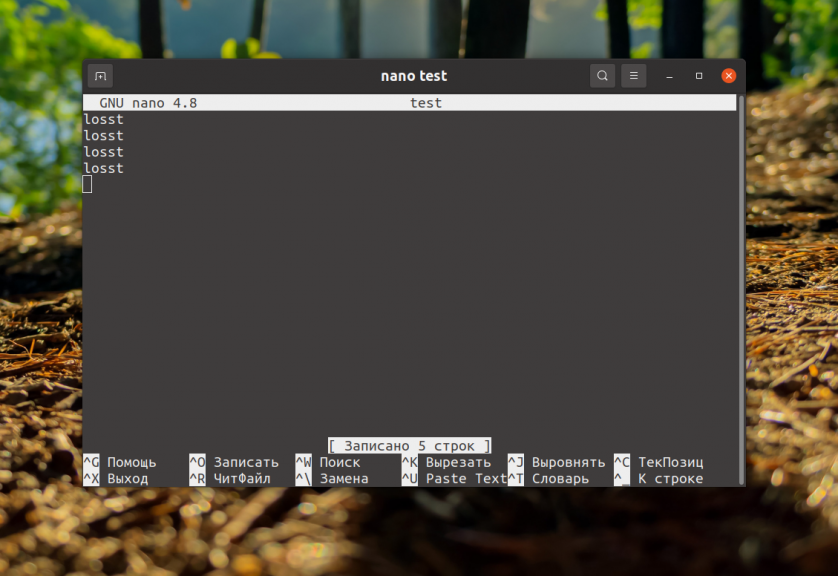 Saving a file in Nano Linux