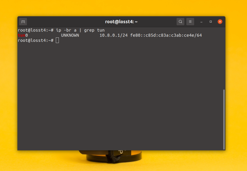 How to make a static IP of the OpenVPN client.