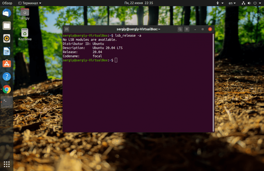 УЗНАТЬ ВЕРСИЮ UBUNTU В ТЕРМИНАЛЕ