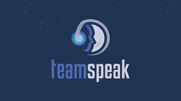 Install TeamSpeak according to the instructions from THE.Hosting!
