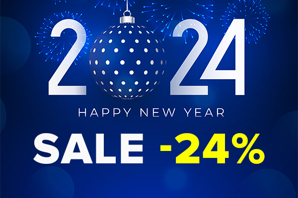 New Year 2024 with THE.Hosting - 24% discount on orders and renewals!