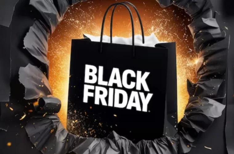 Black Friday from THE.Hosting: get the server at the best price!