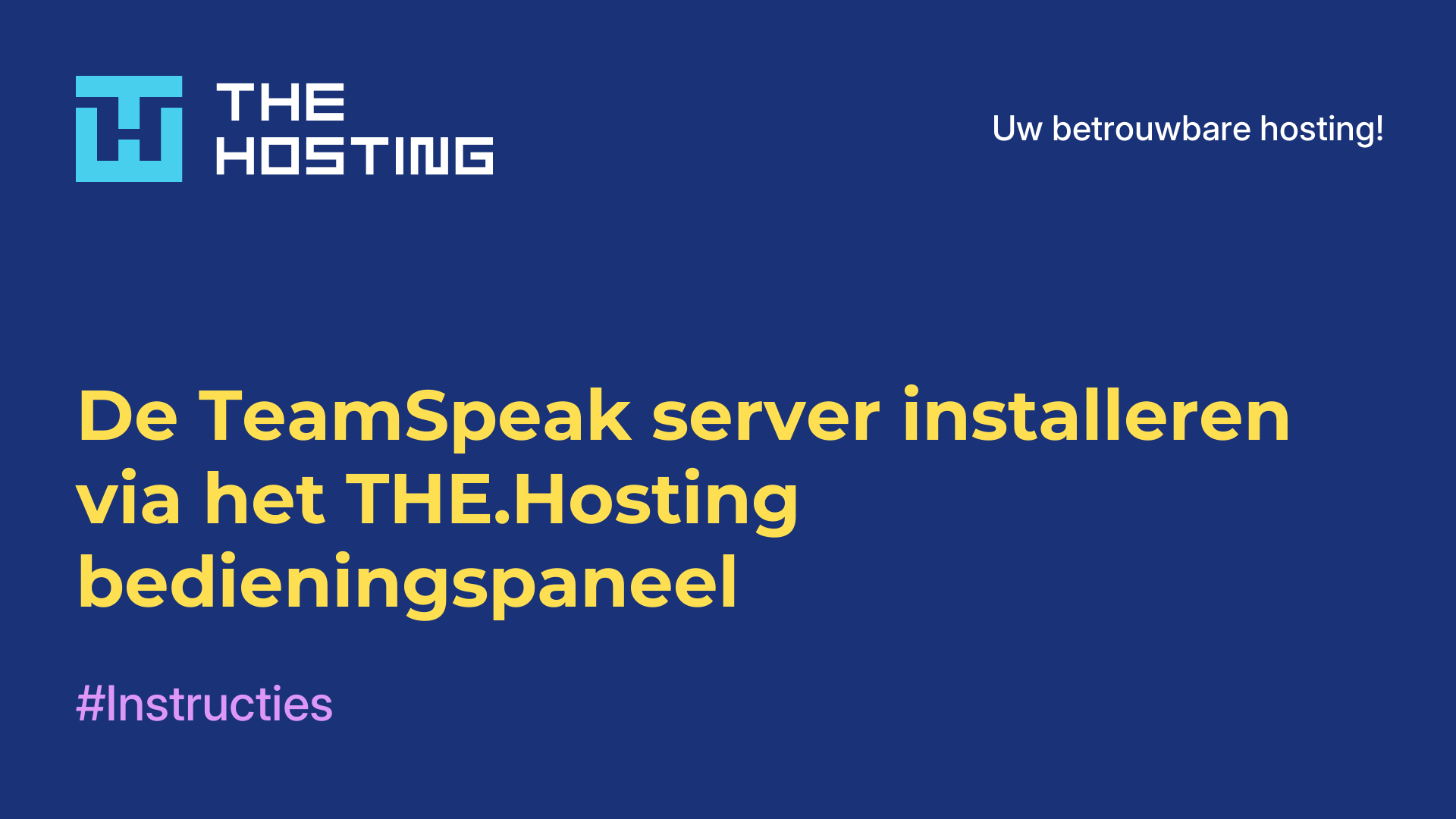 De TeamSpeak-server installeren via het THE.Hosting-bedieningspaneel
