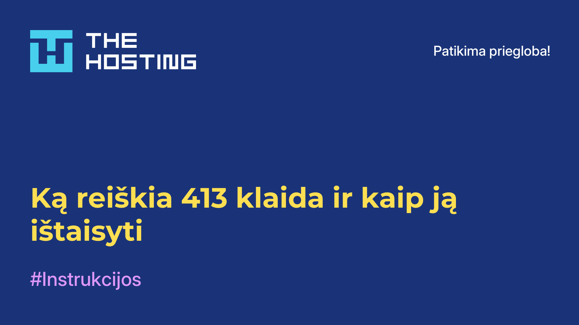 Ką reiškia 413 klaida ir kaip ją ištaisyti