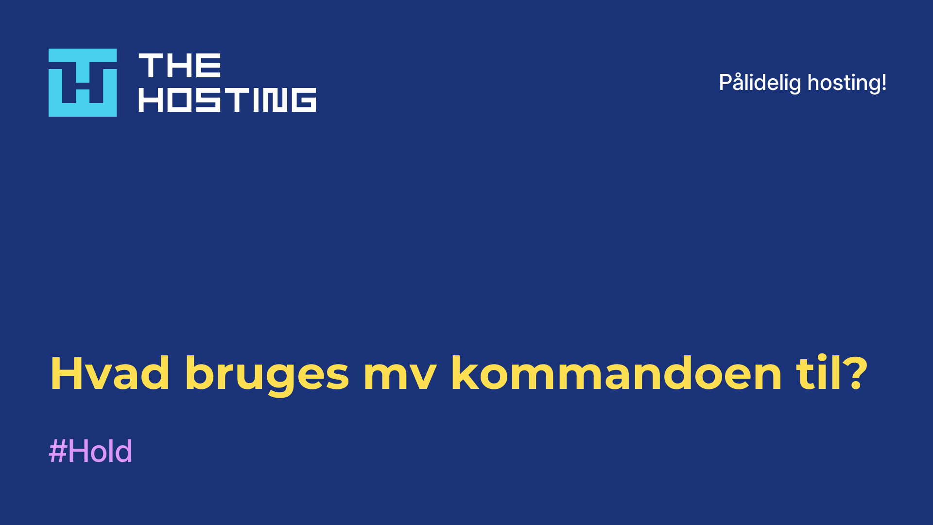 Hvad bruges mv-kommandoen til?