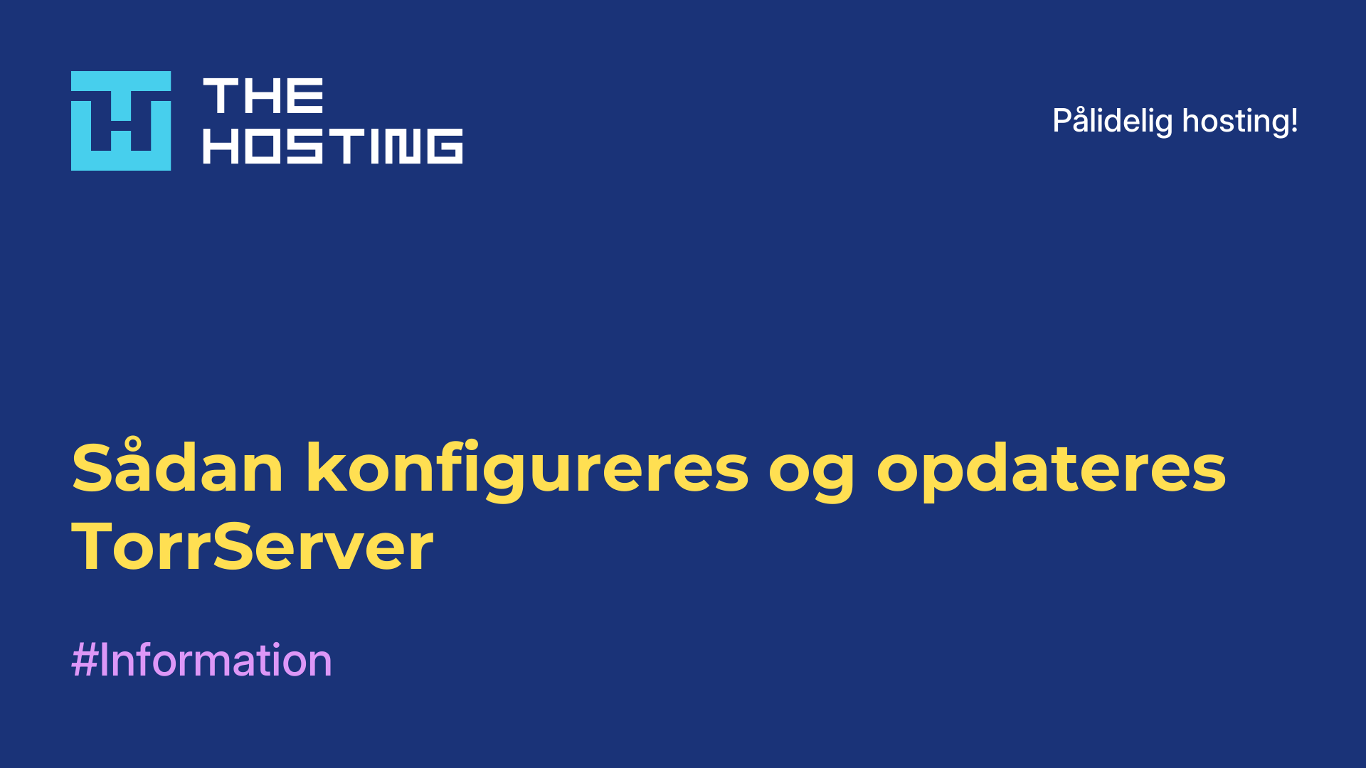 Sådan konfigureres og opdateres TorrServer