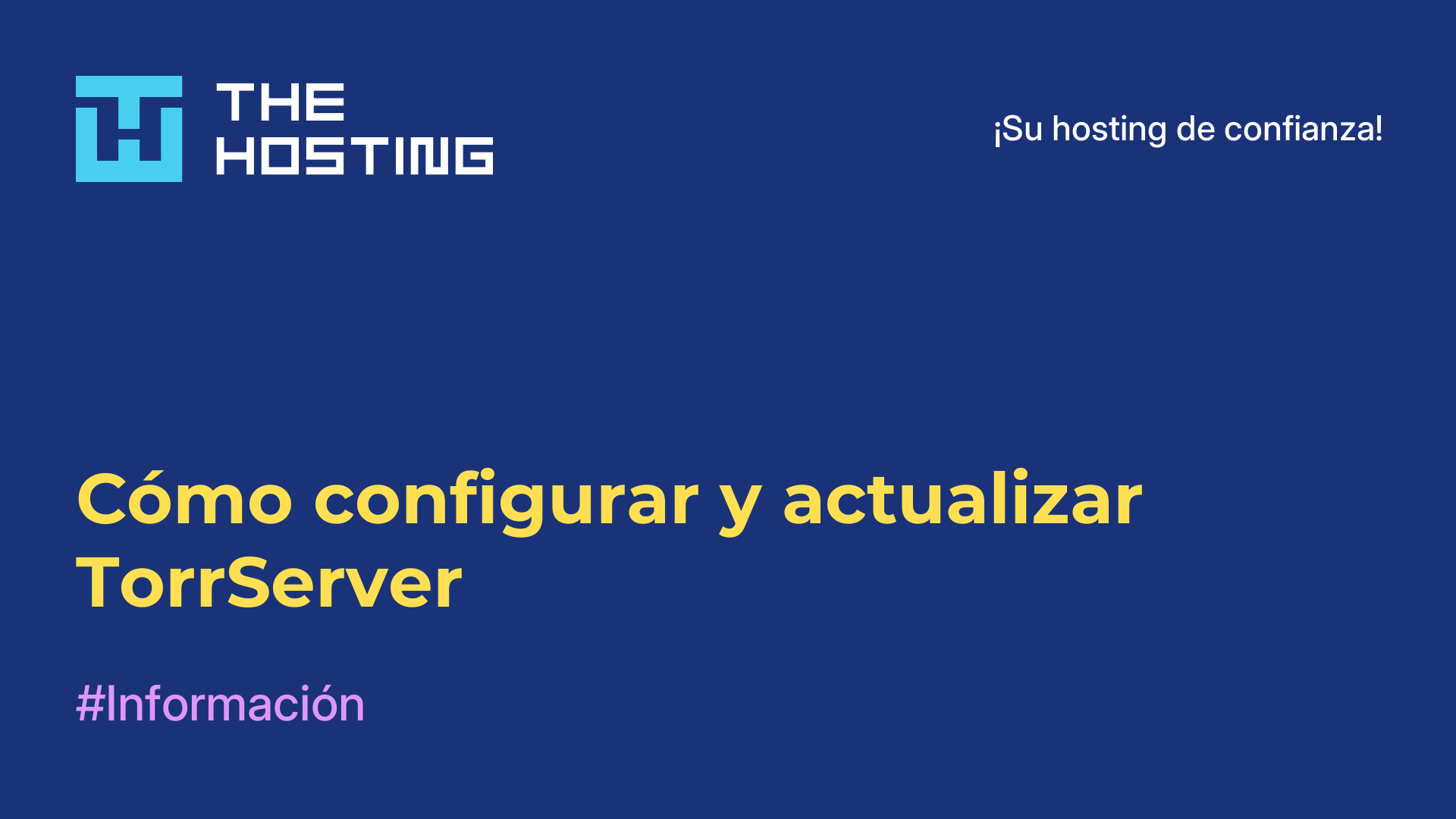 Cómo configurar y actualizar TorrServer