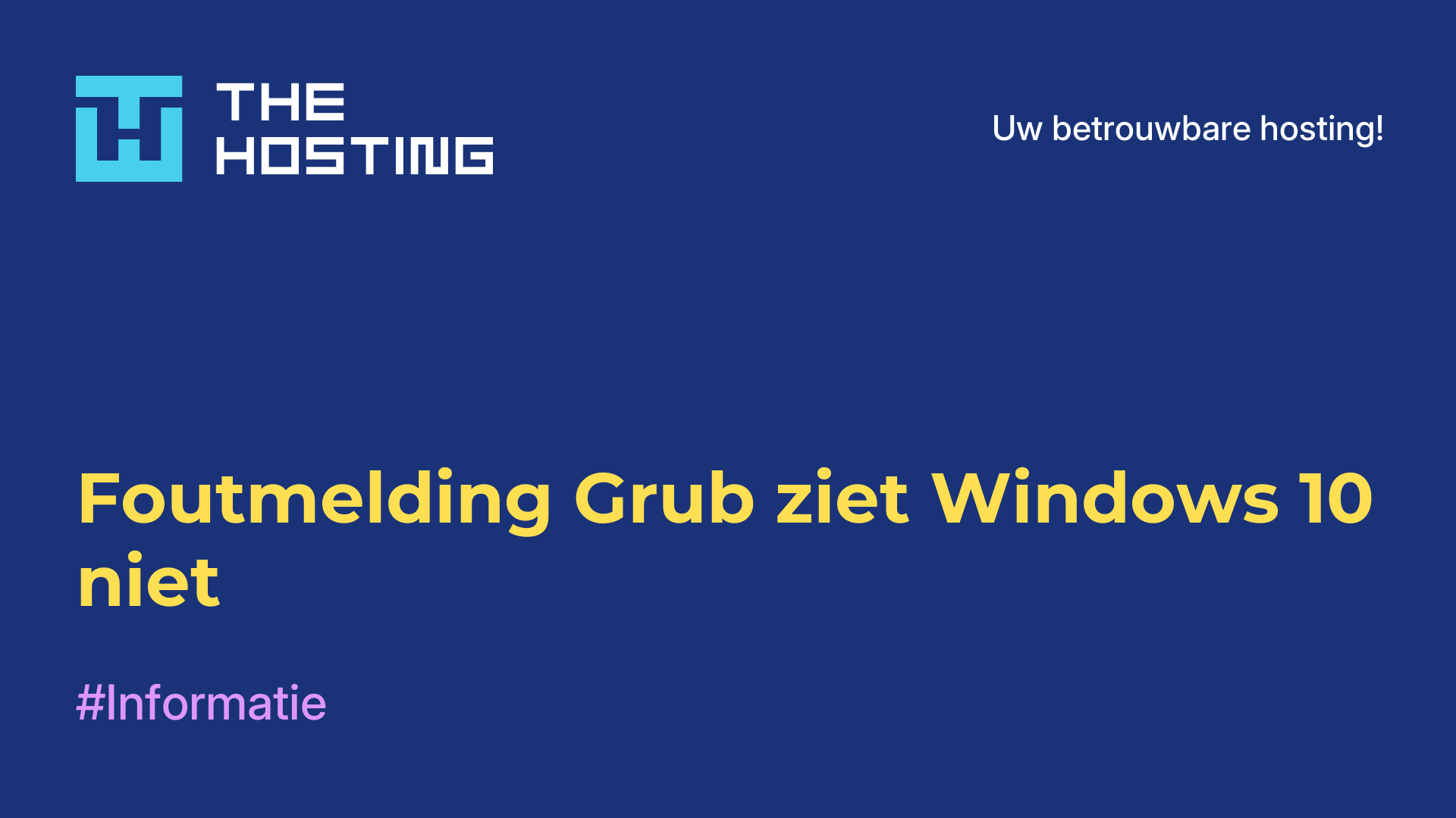 Foutmelding Grub ziet Windows 10 niet
