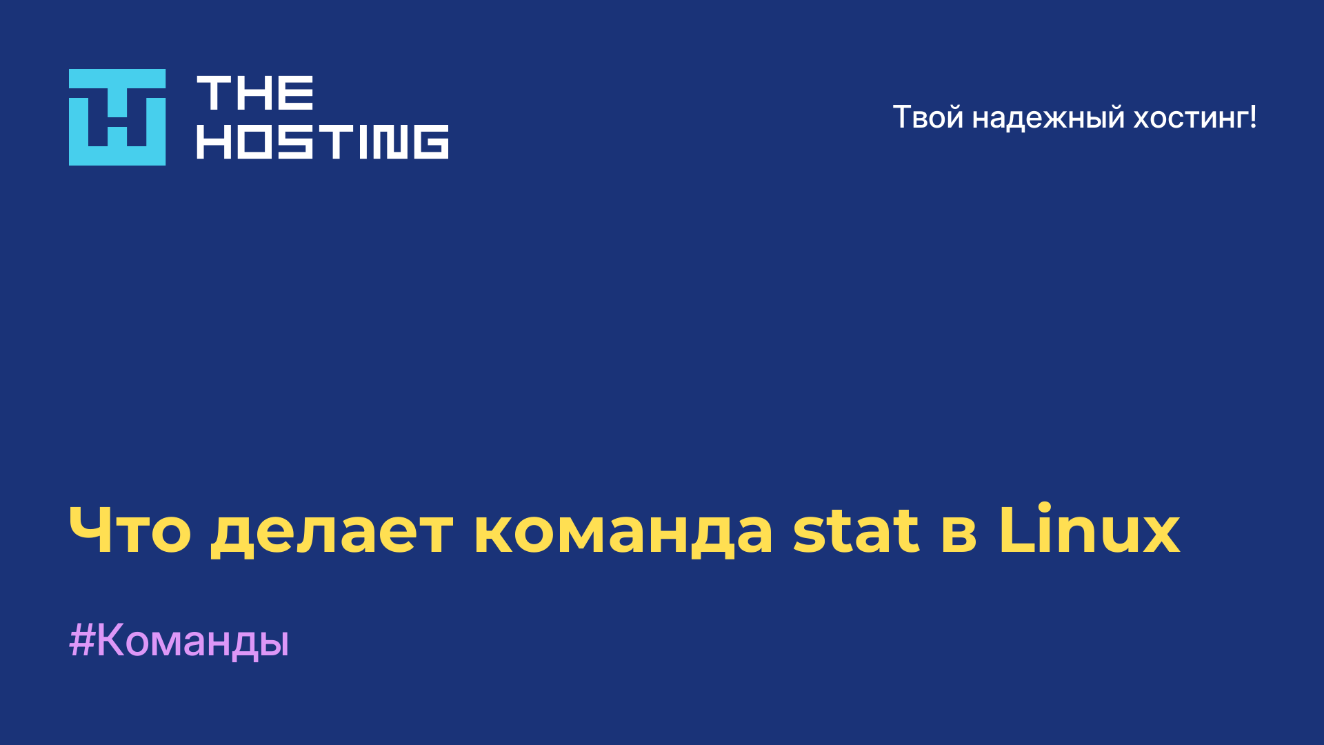 Что делает команда stat в Linux