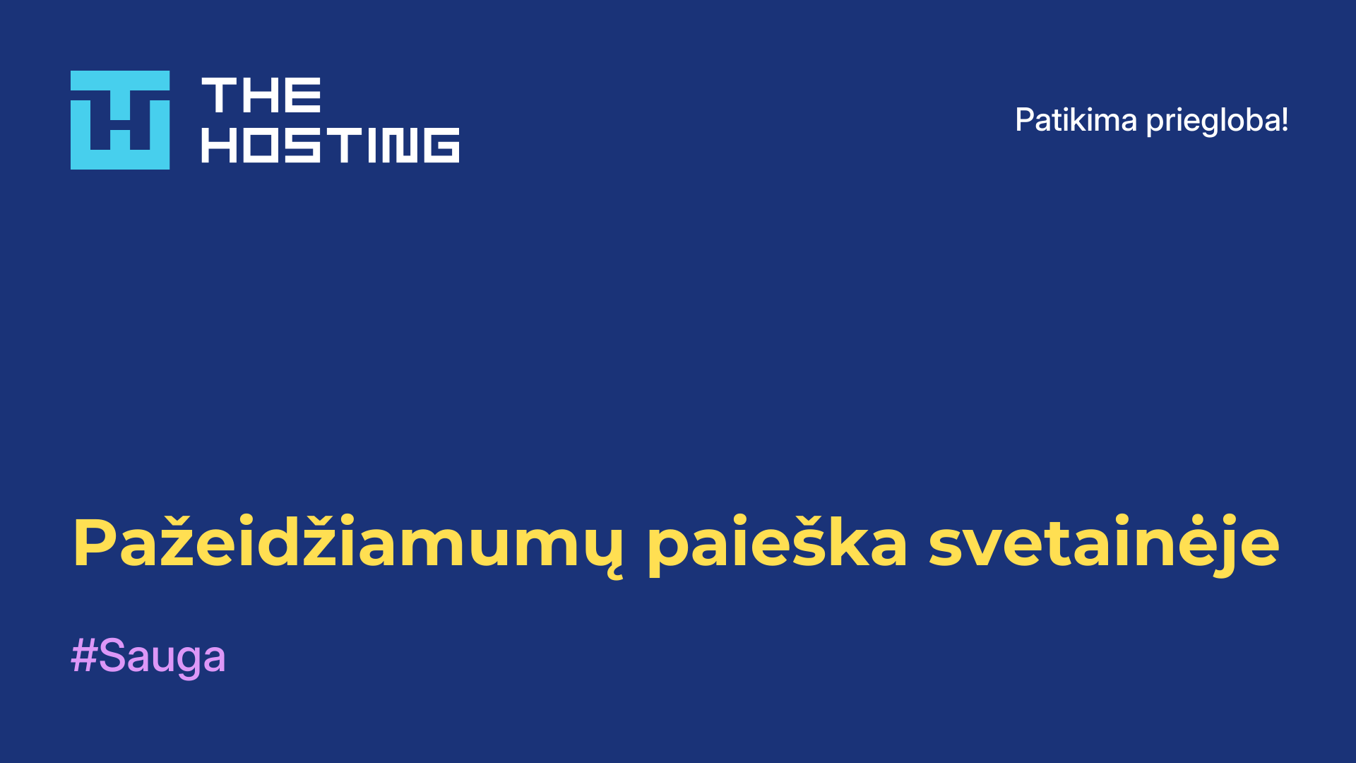 Pažeidžiamumų paieška svetainėje