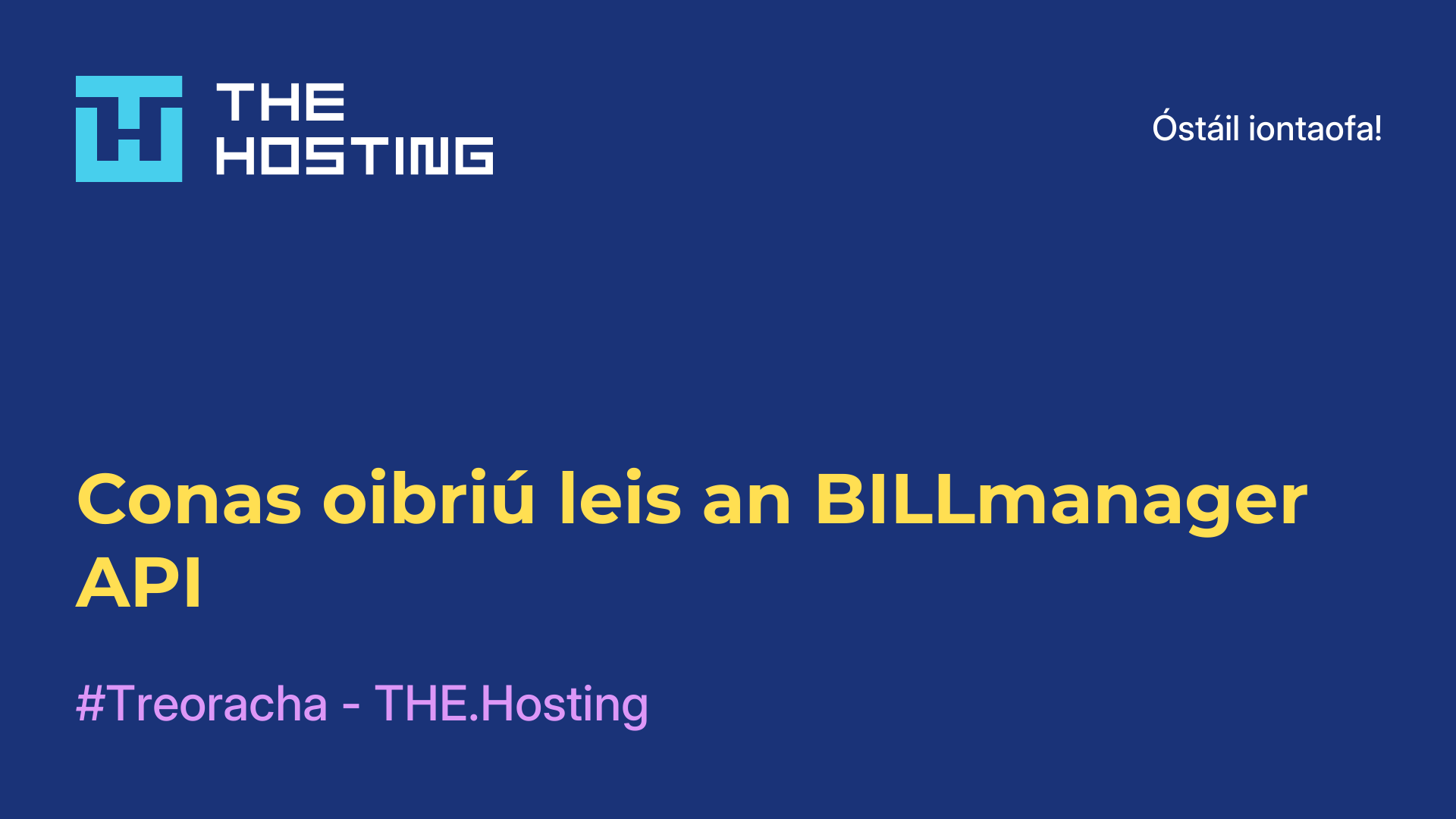 Conas oibriú leis an BILLmanager API