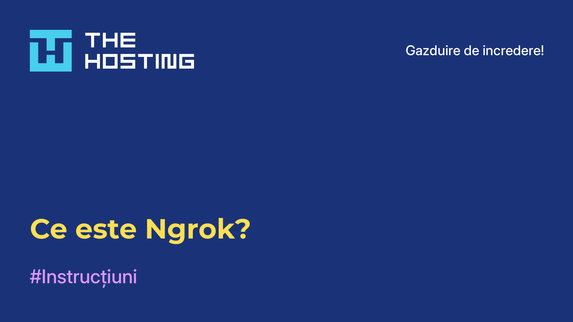 Ce este Ngrok?