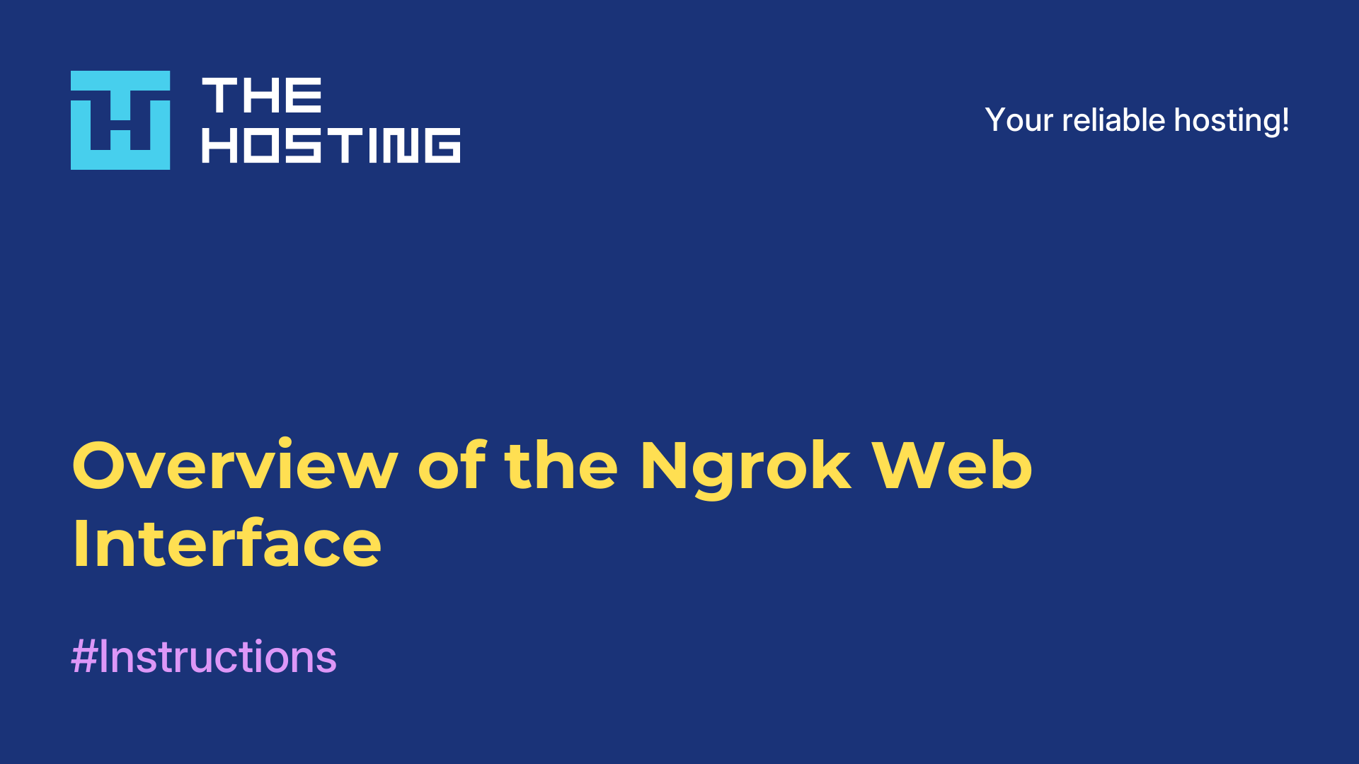Overview of the Ngrok Web Interface