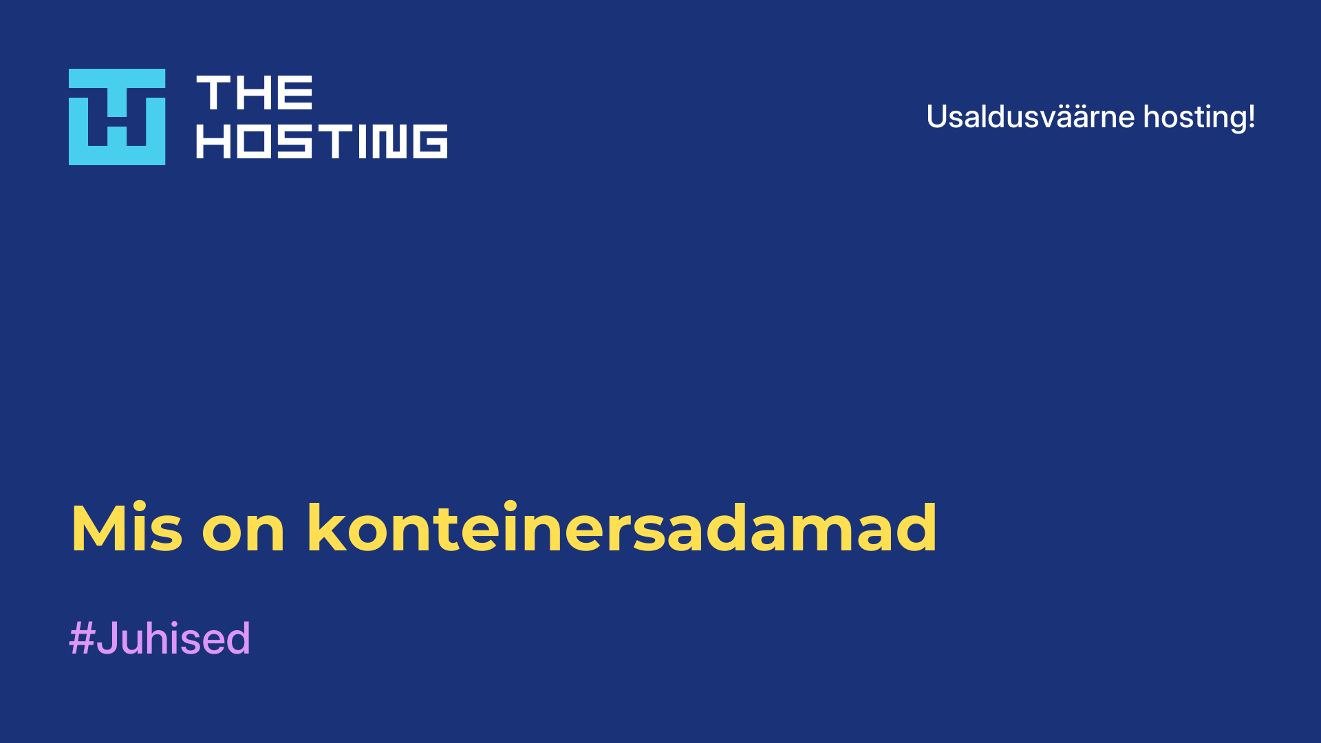 Mis on konteinersadamad