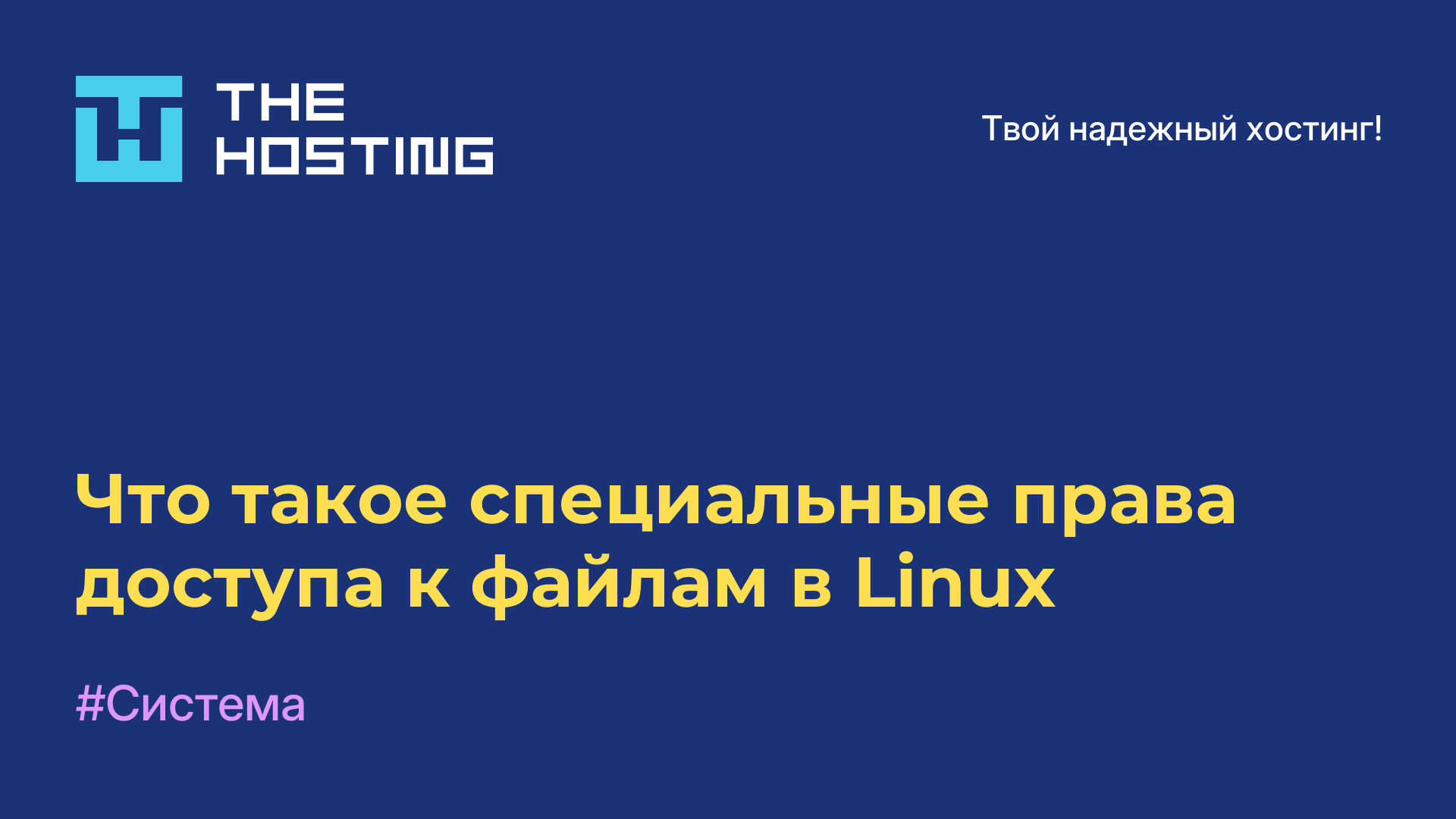 Что такое специальные права доступа к файлам в Linux