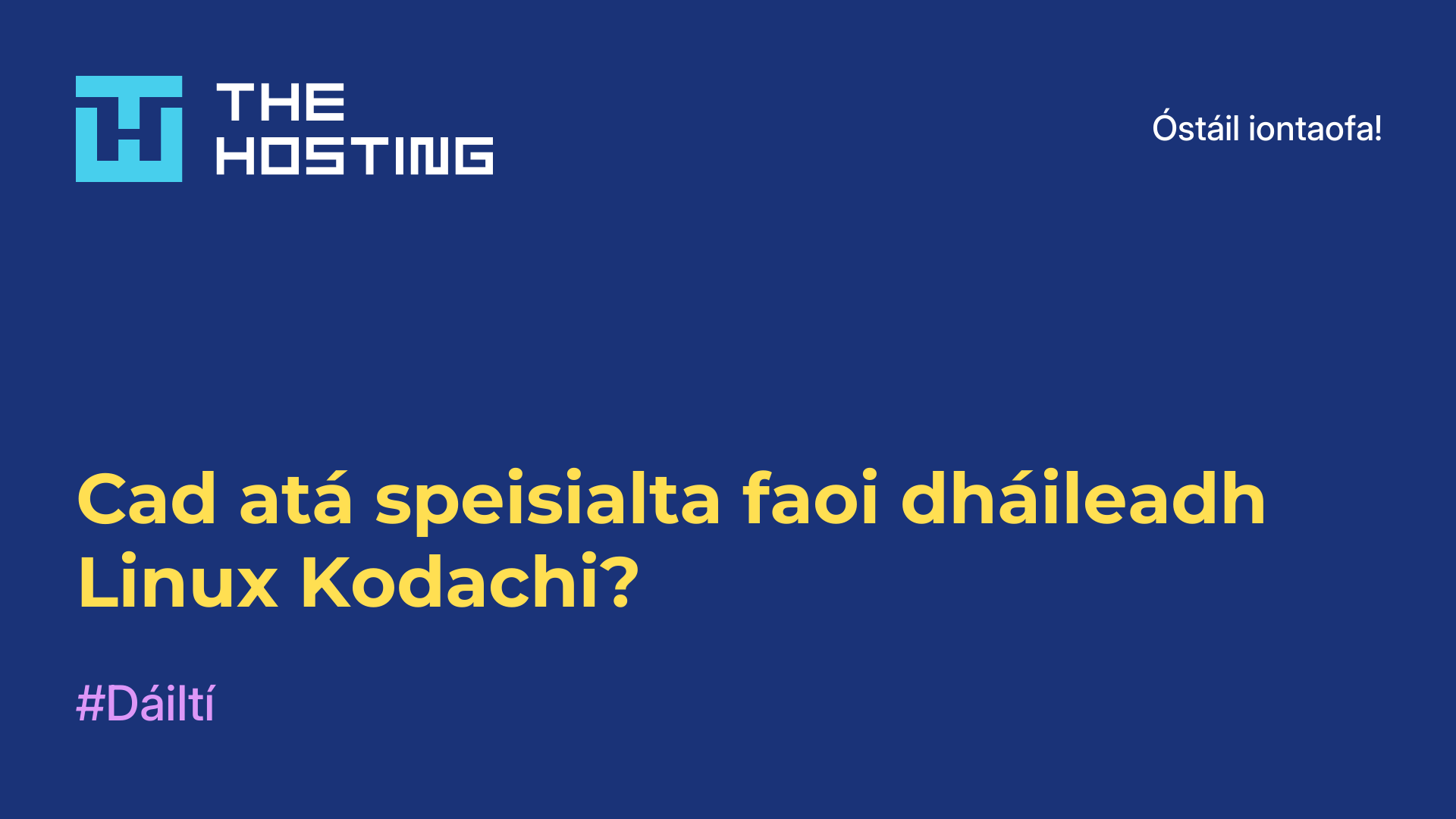 Cad atá speisialta faoi dháileadh Linux Kodachi?