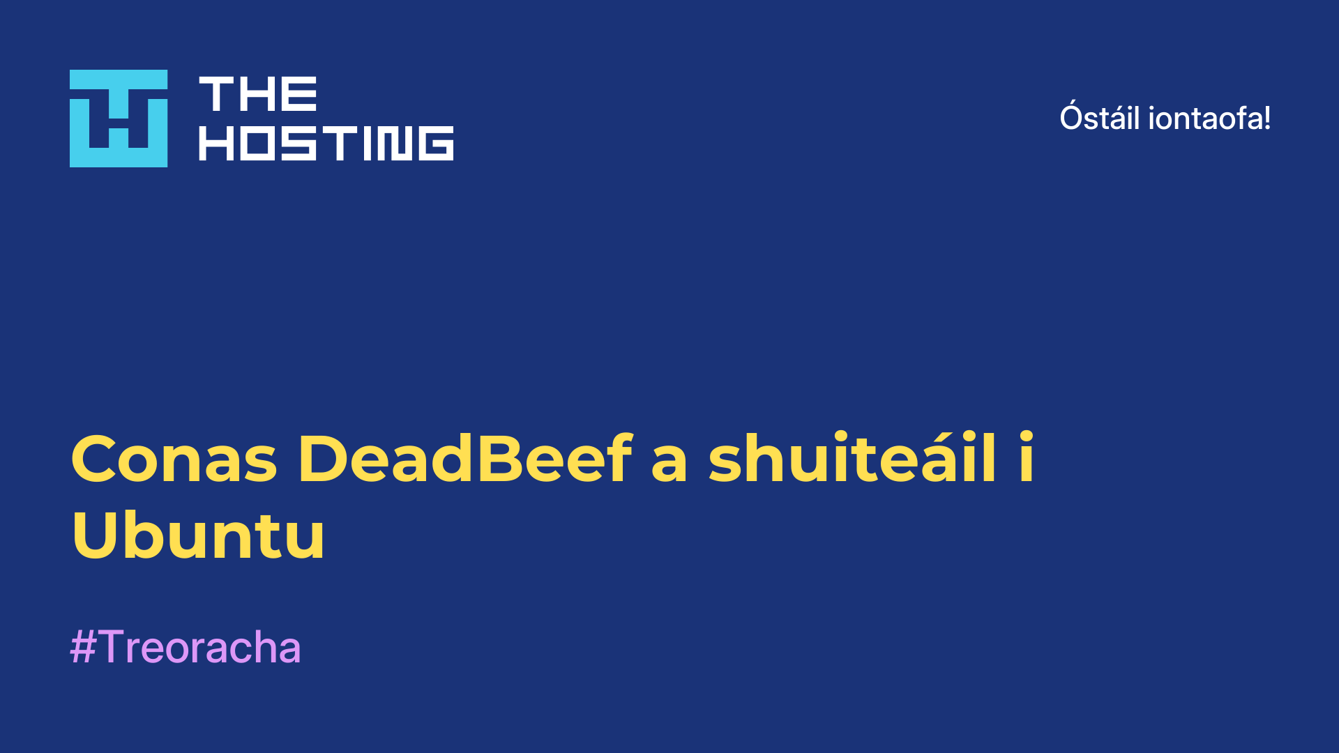 Conas DeadBeef a shuiteáil i Ubuntu