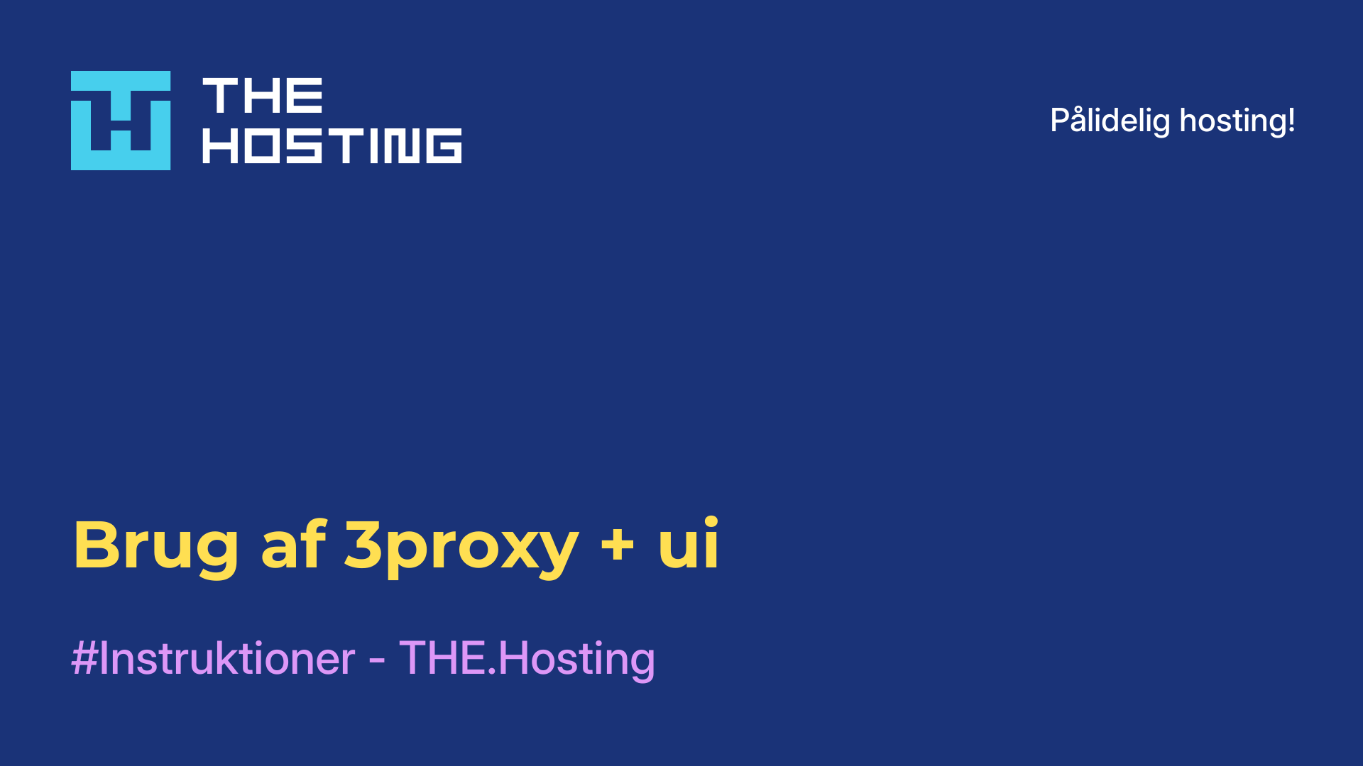 Brug af 3proxy + ui