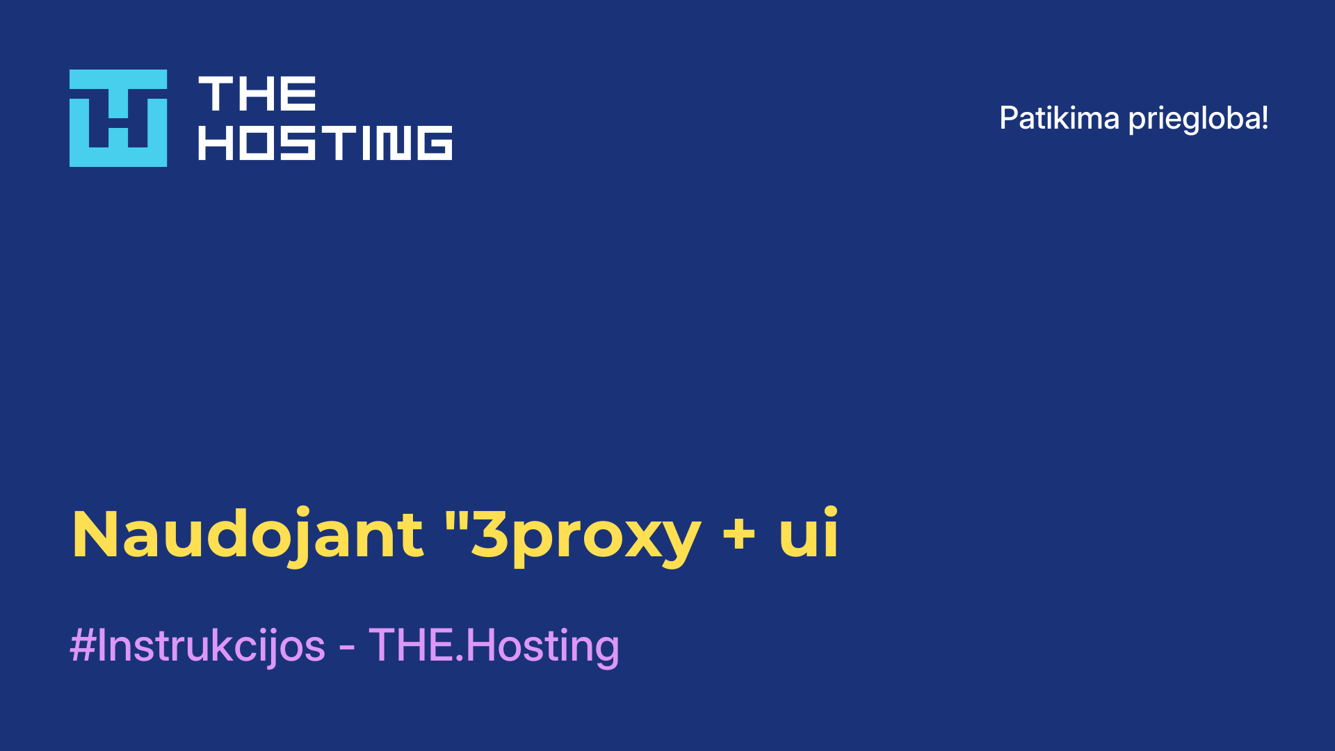 Naudojant "3proxy + ui
