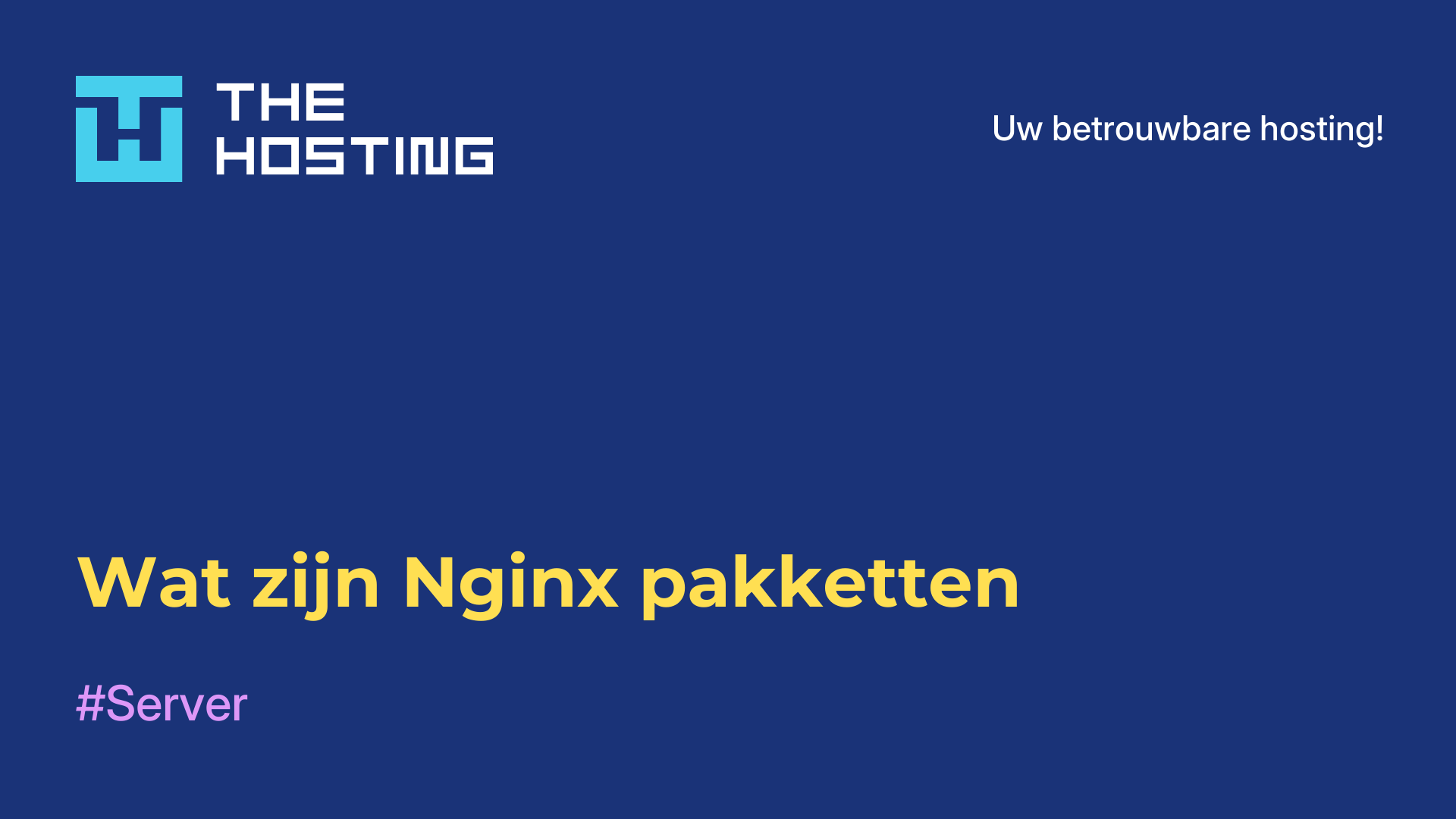 Wat zijn Nginx-pakketten