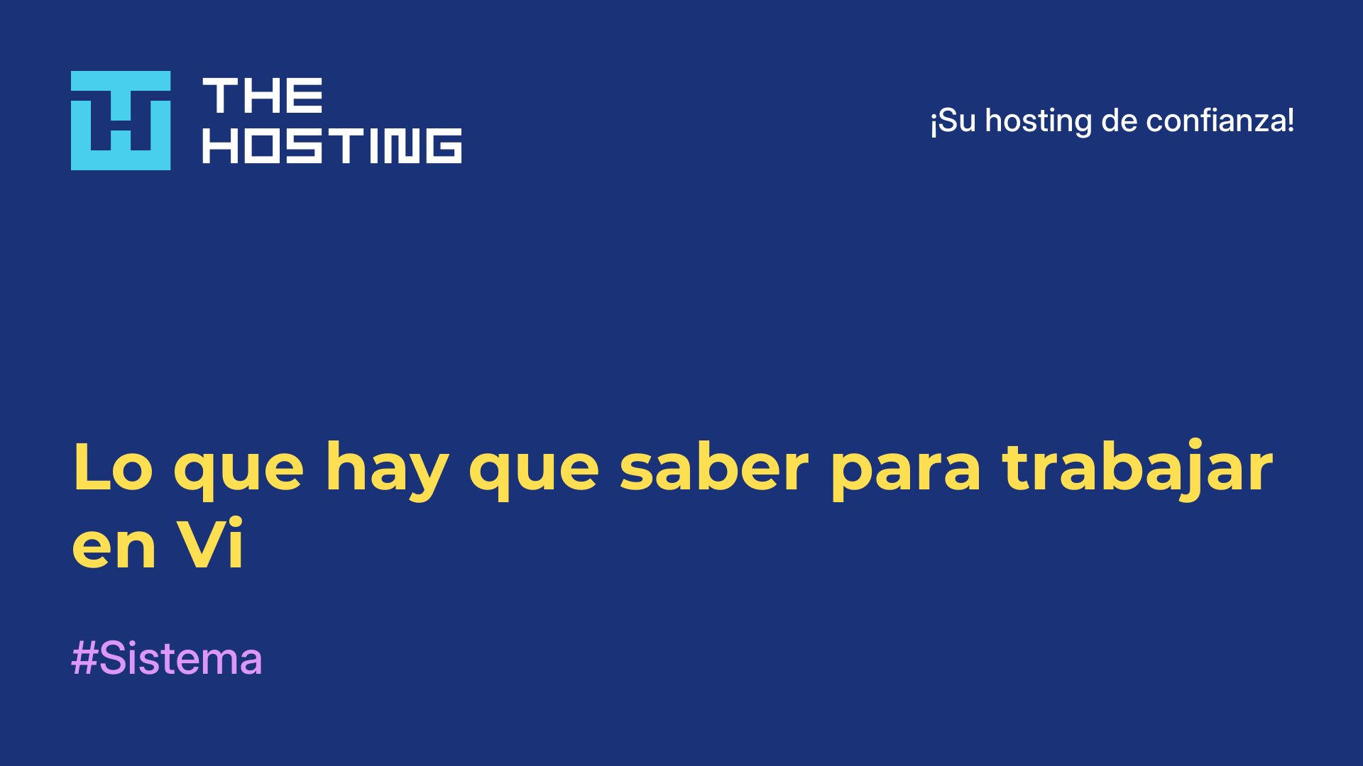 Lo que hay que saber para trabajar en Vi