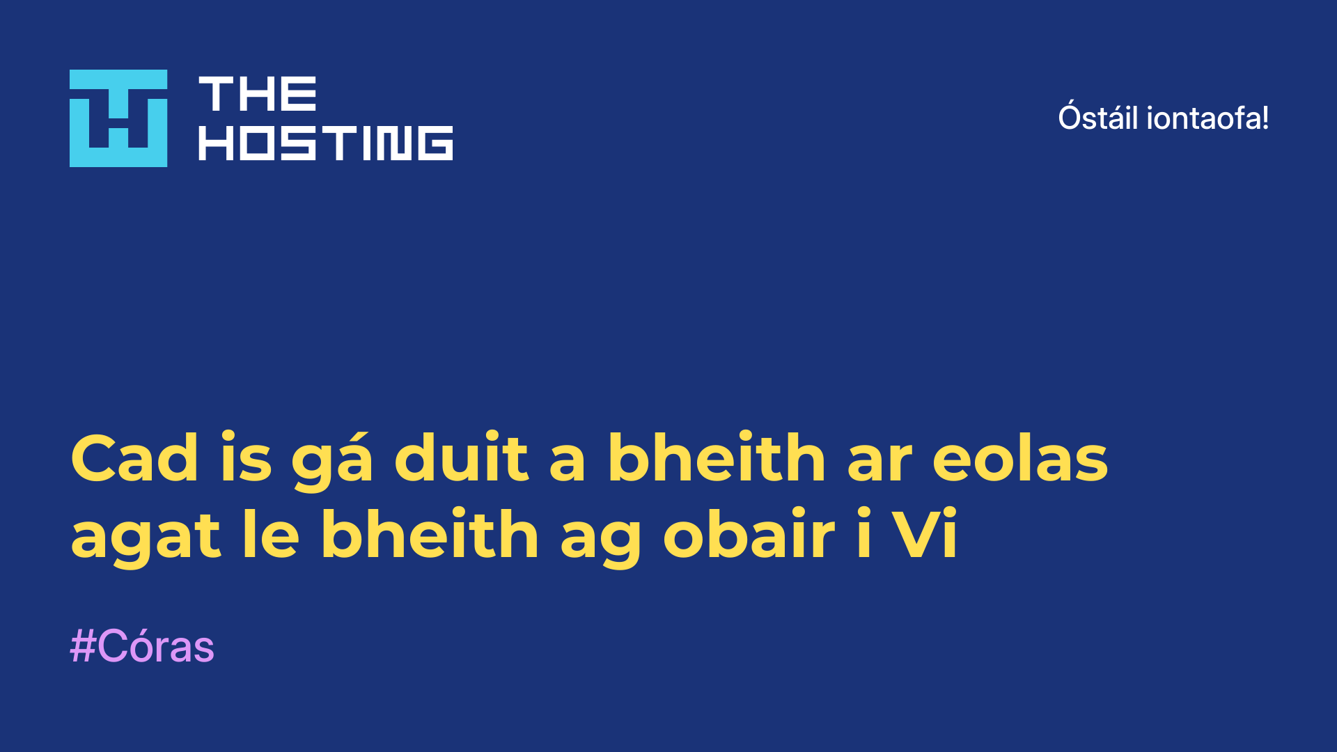 Cad is gá duit a bheith ar eolas agat le bheith ag obair i Vi