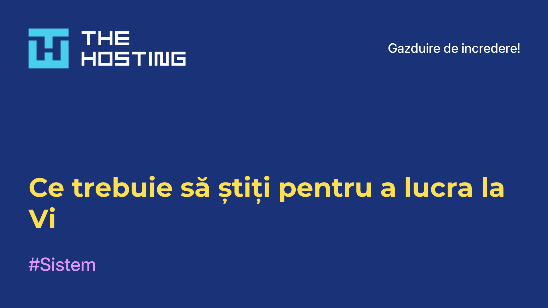 Ce trebuie să știți pentru a lucra la Vi