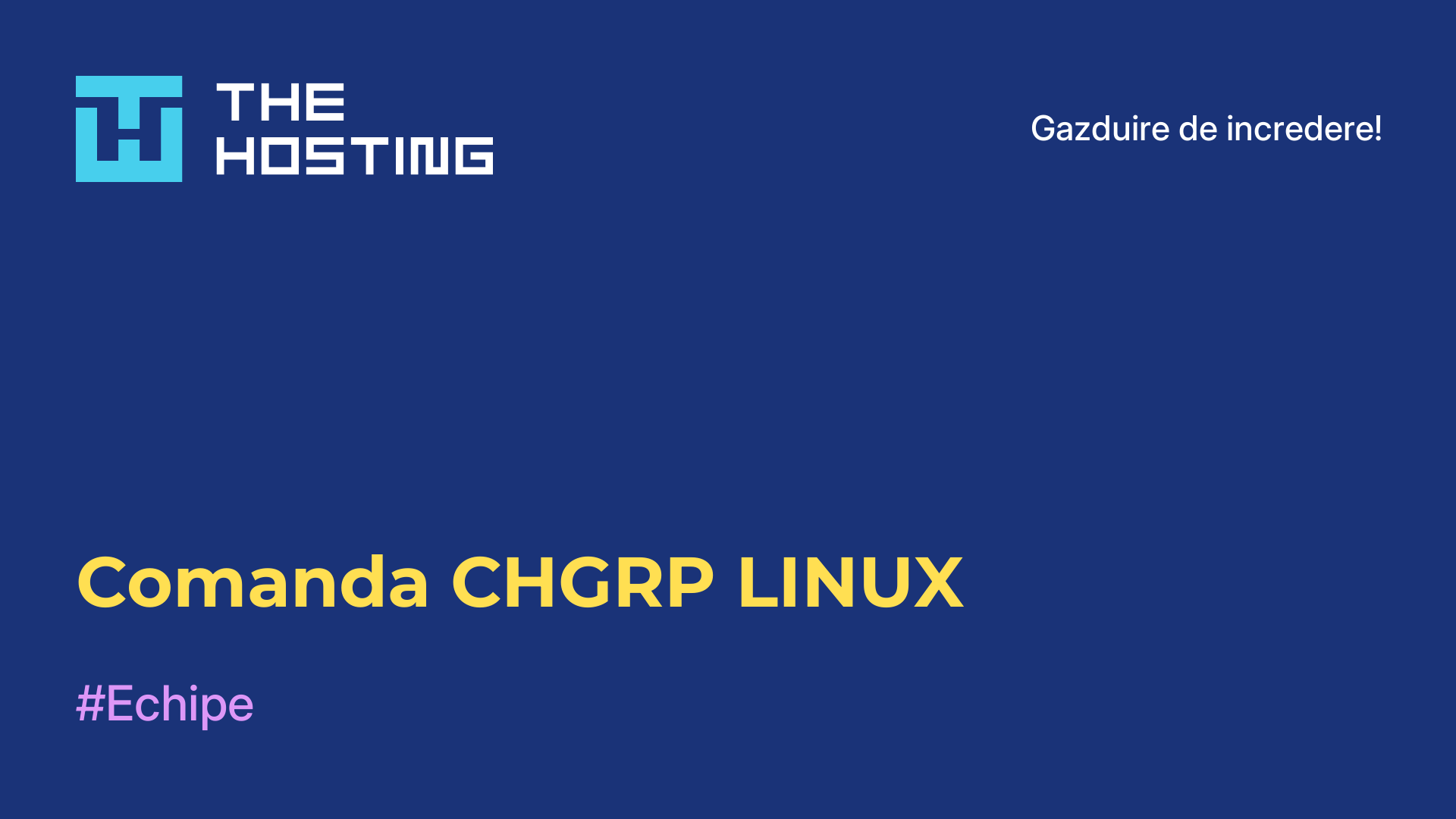 Comanda CHGRP LINUX
