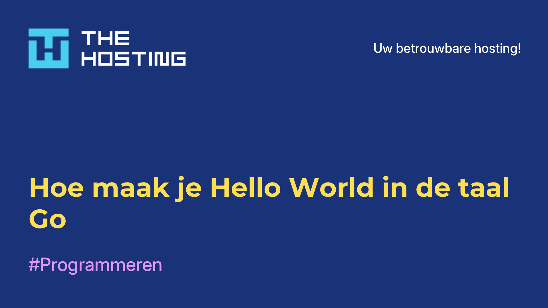 Hoe maak je Hello World in de taal Go