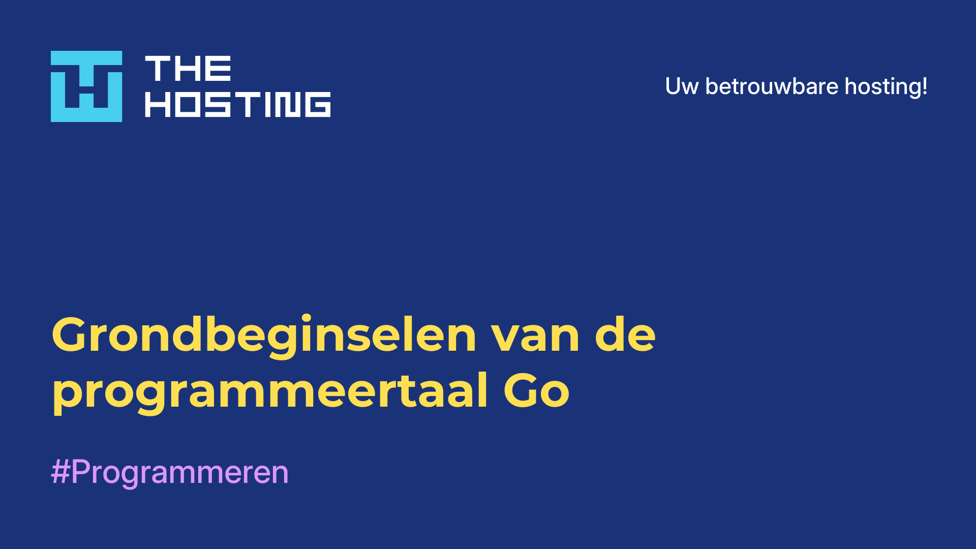 Grondbeginselen van de programmeertaal Go
