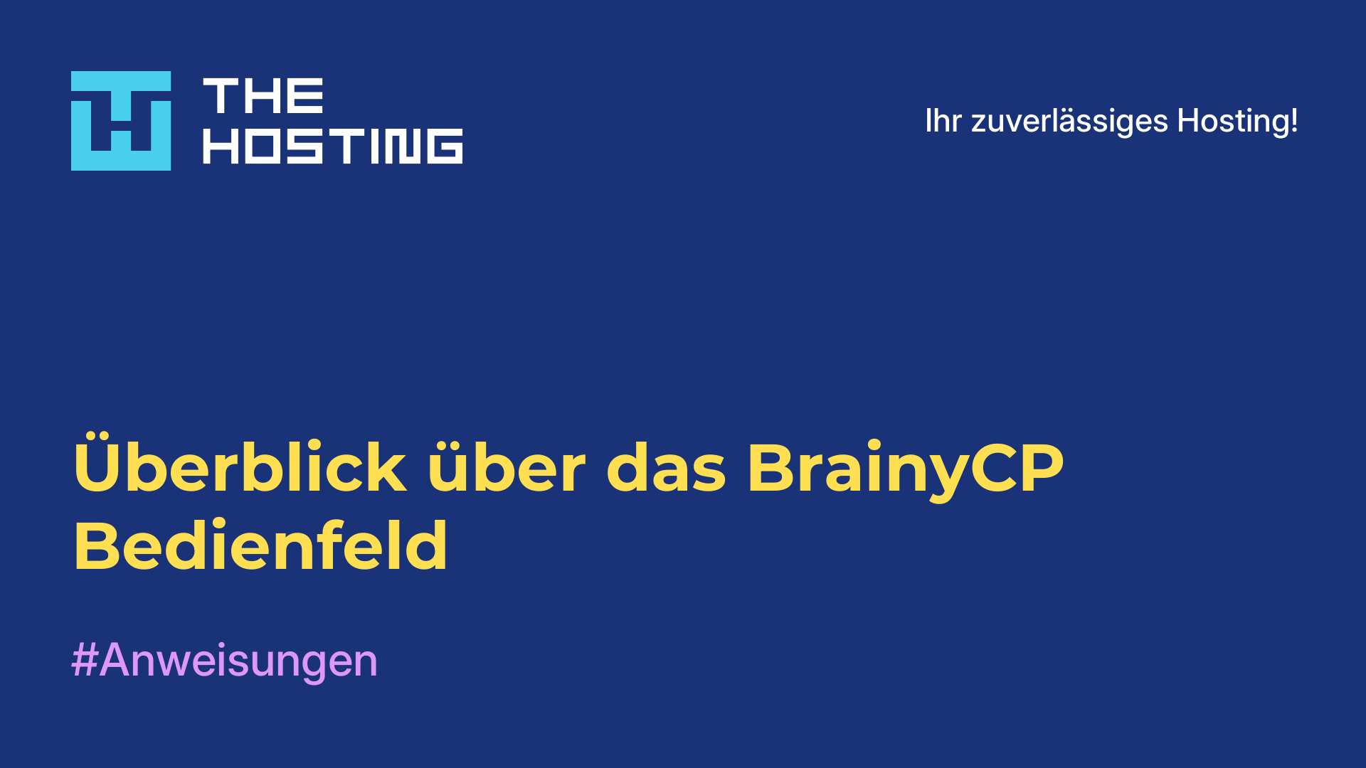 Überblick über das BrainyCP-Bedienfeld