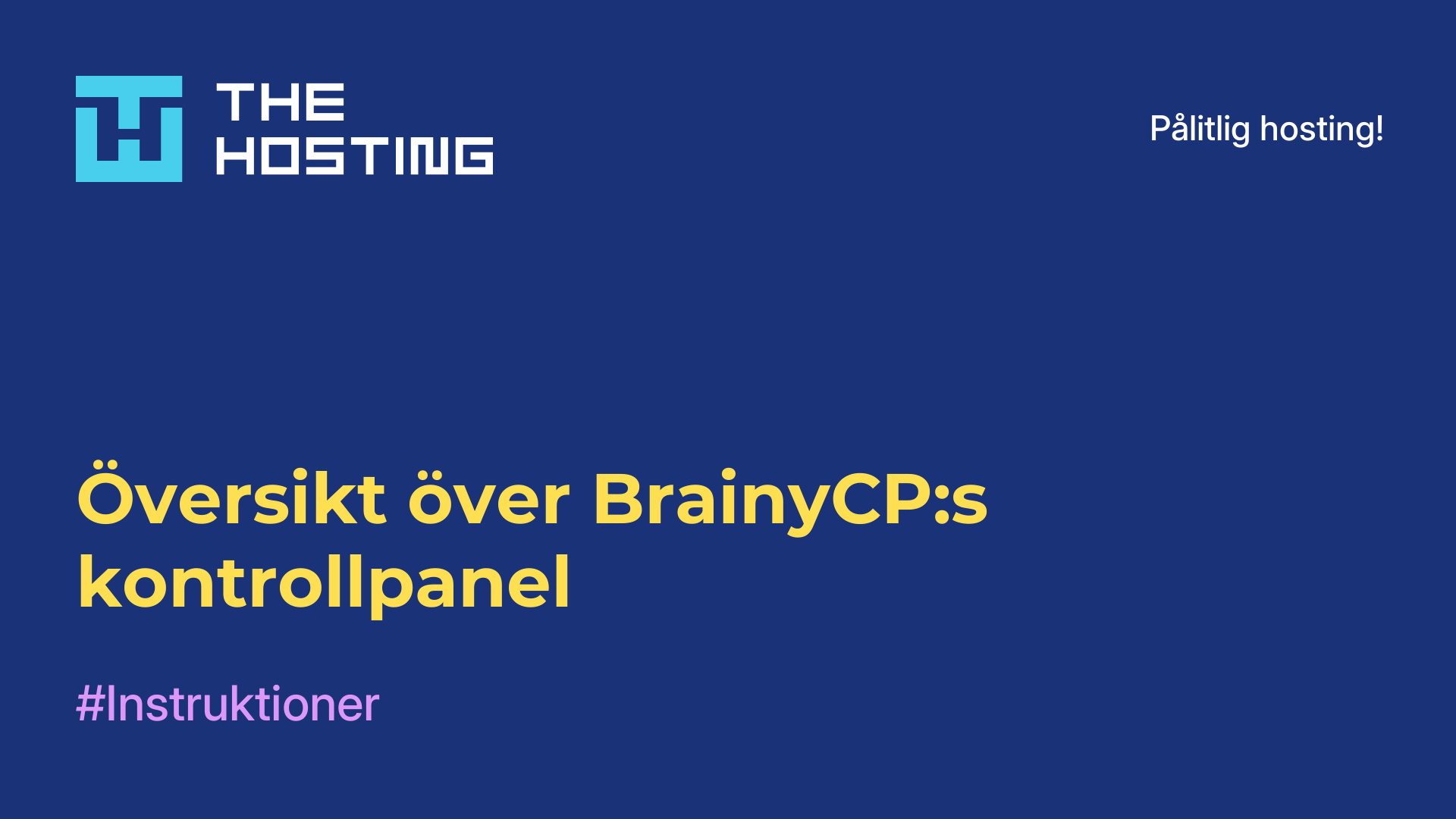Översikt över BrainyCP:s kontrollpanel