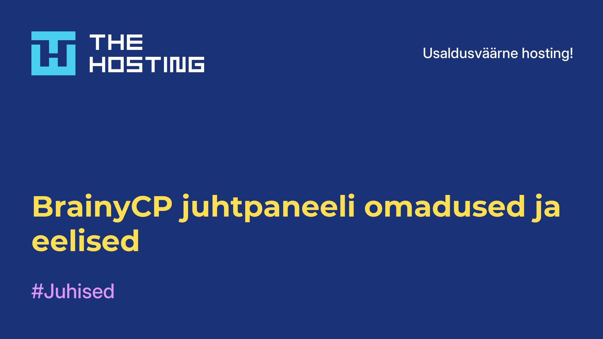 BrainyCP juhtpaneeli omadused ja eelised