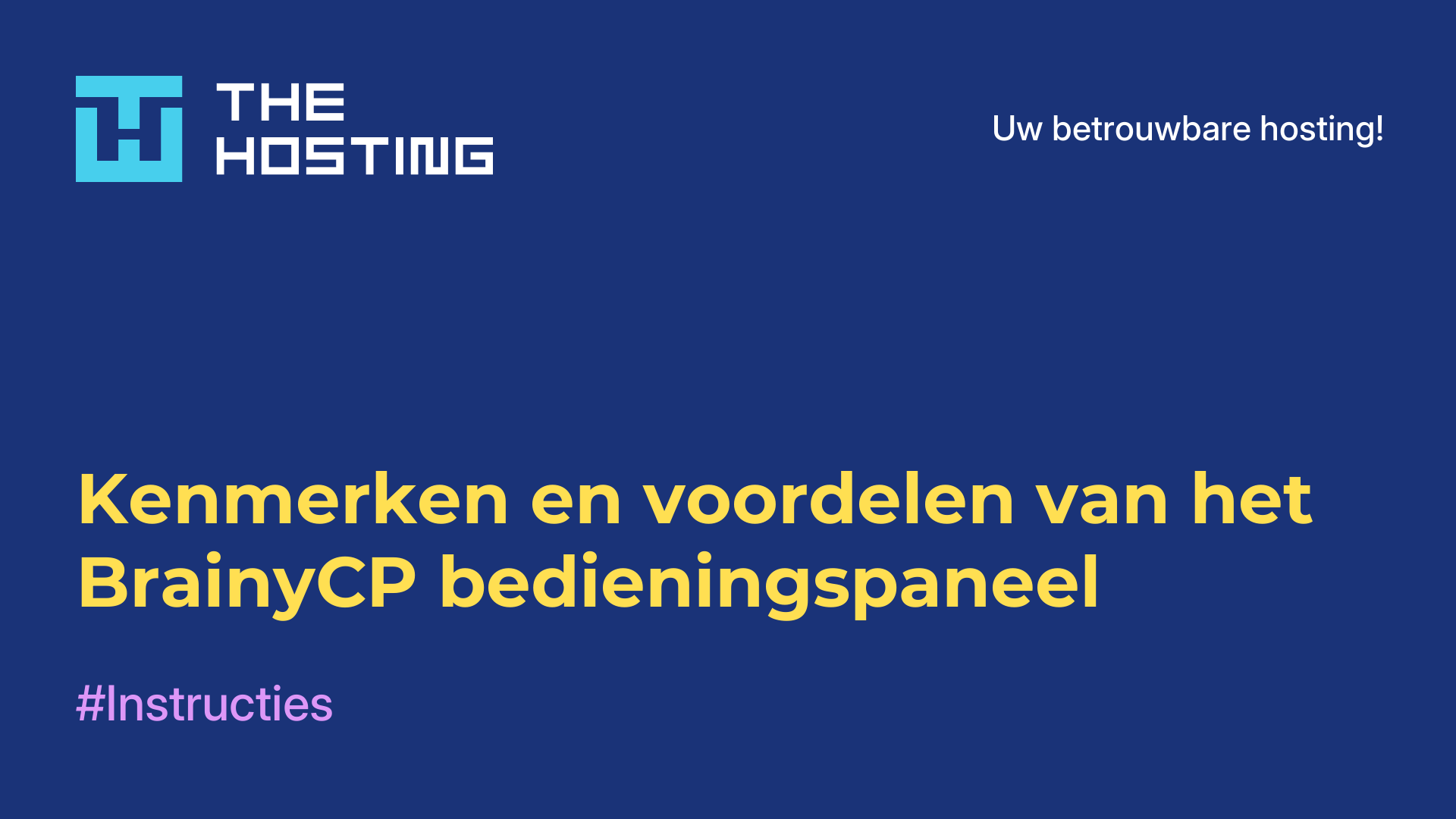 Kenmerken en voordelen van het BrainyCP-bedieningspaneel
