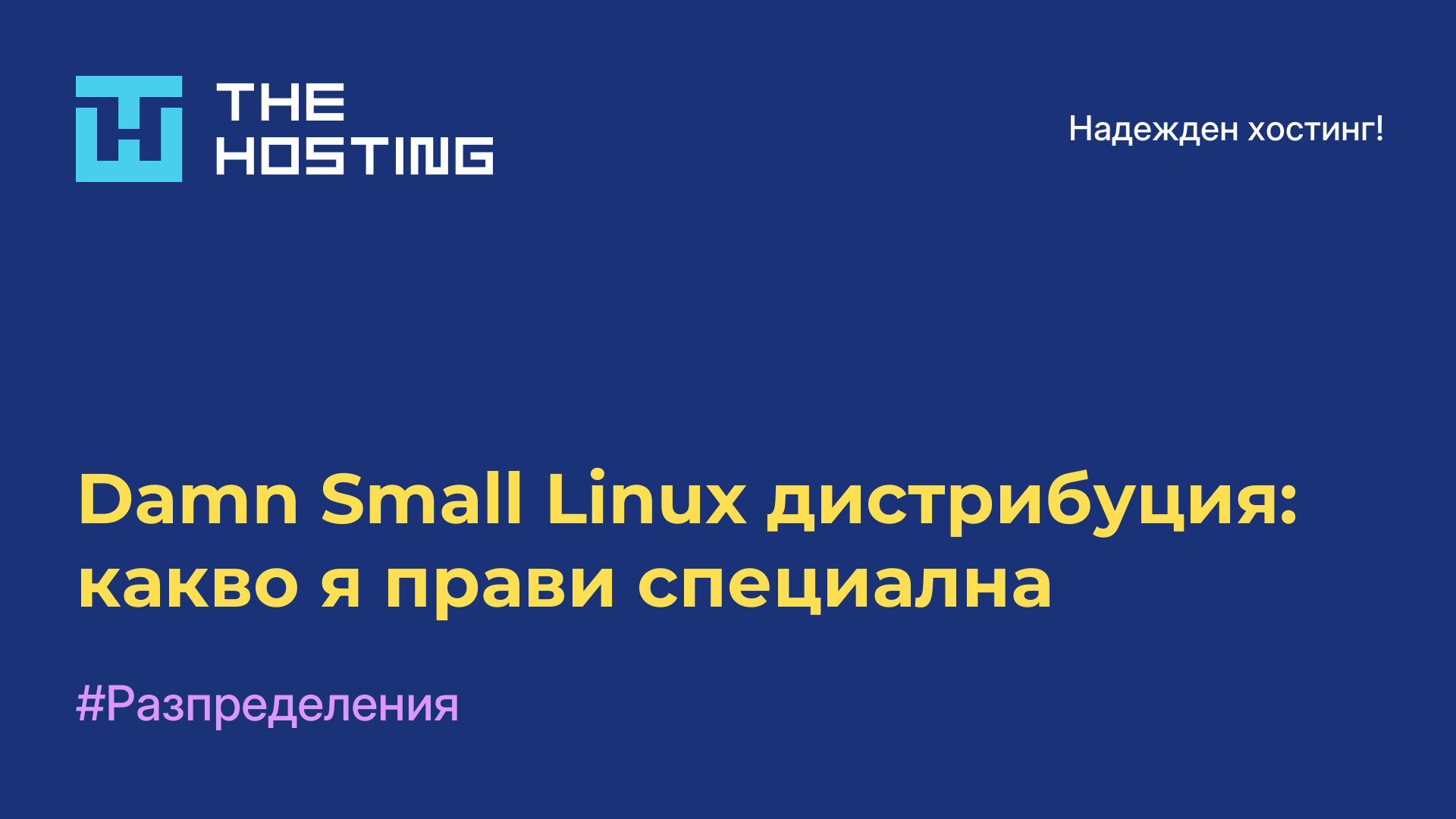 Damn Small Linux дистрибуция: какво я прави специална