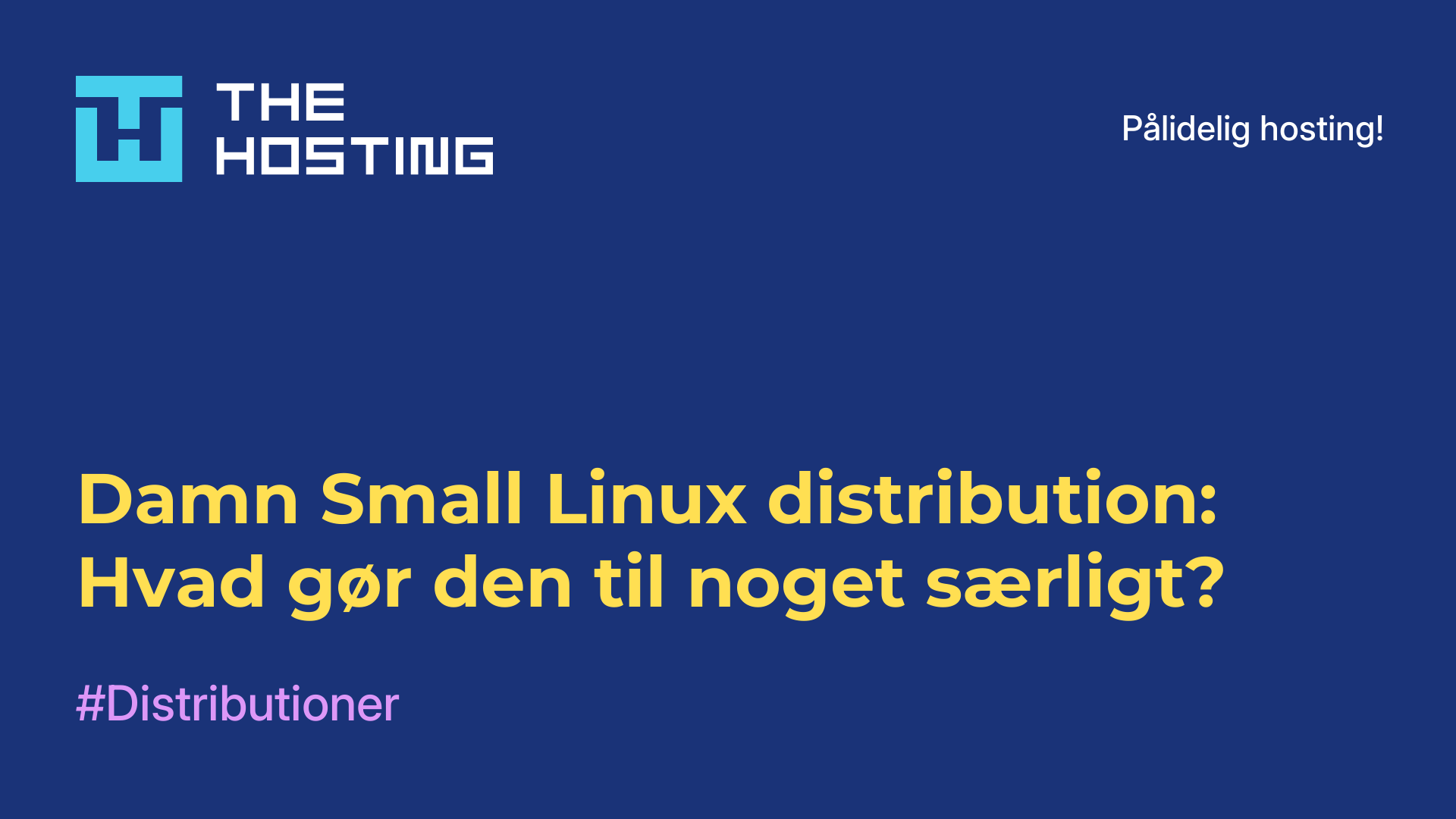 Damn Small Linux-distribution: Hvad gør den til noget særligt?