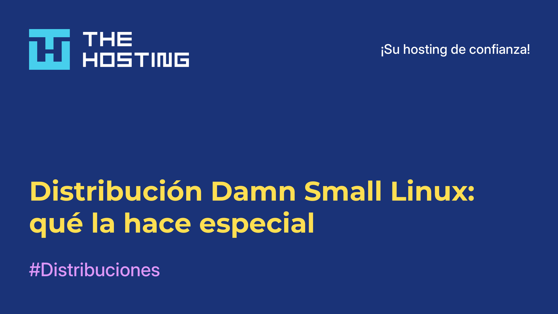 Distribución Damn Small Linux: qué la hace especial