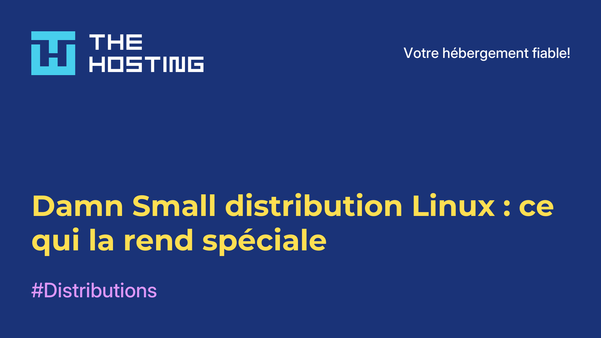 Damn Small distribution Linux : ce qui la rend spéciale