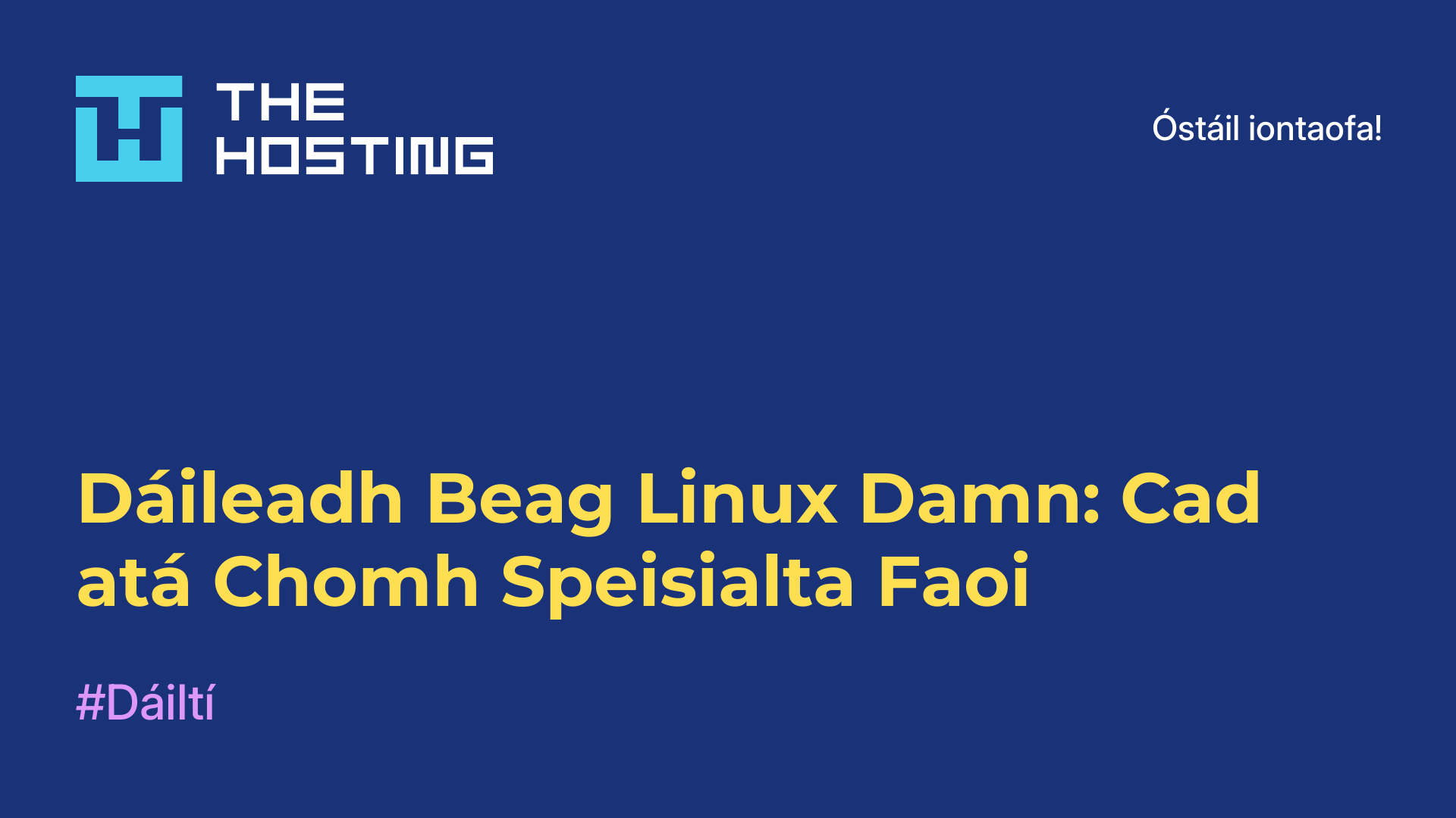 Dáileadh Beag Linux Damn: Cad atá Chomh Speisialta Faoi