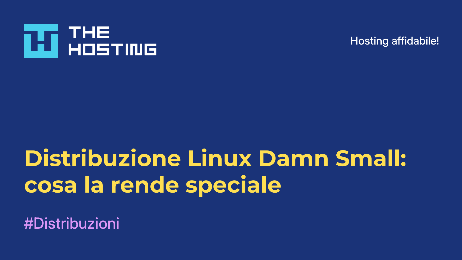 Distribuzione Linux Damn Small: cosa la rende speciale