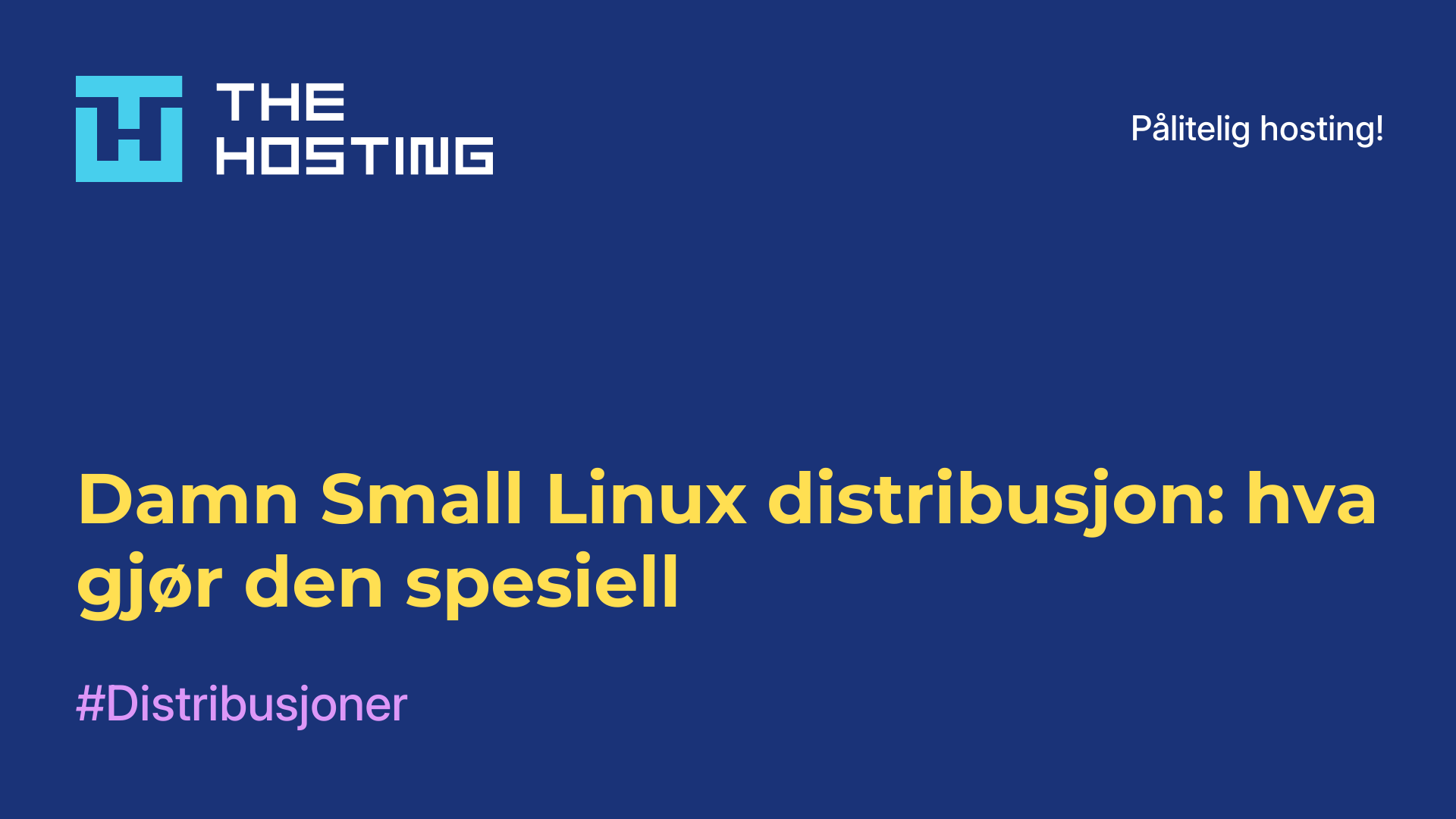 Damn Small Linux-distribusjon: hva gjør den spesiell