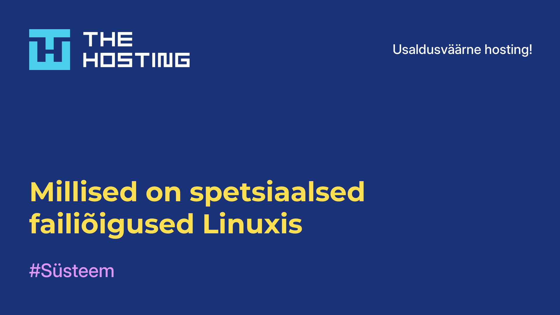 Millised on spetsiaalsed failiõigused Linuxis