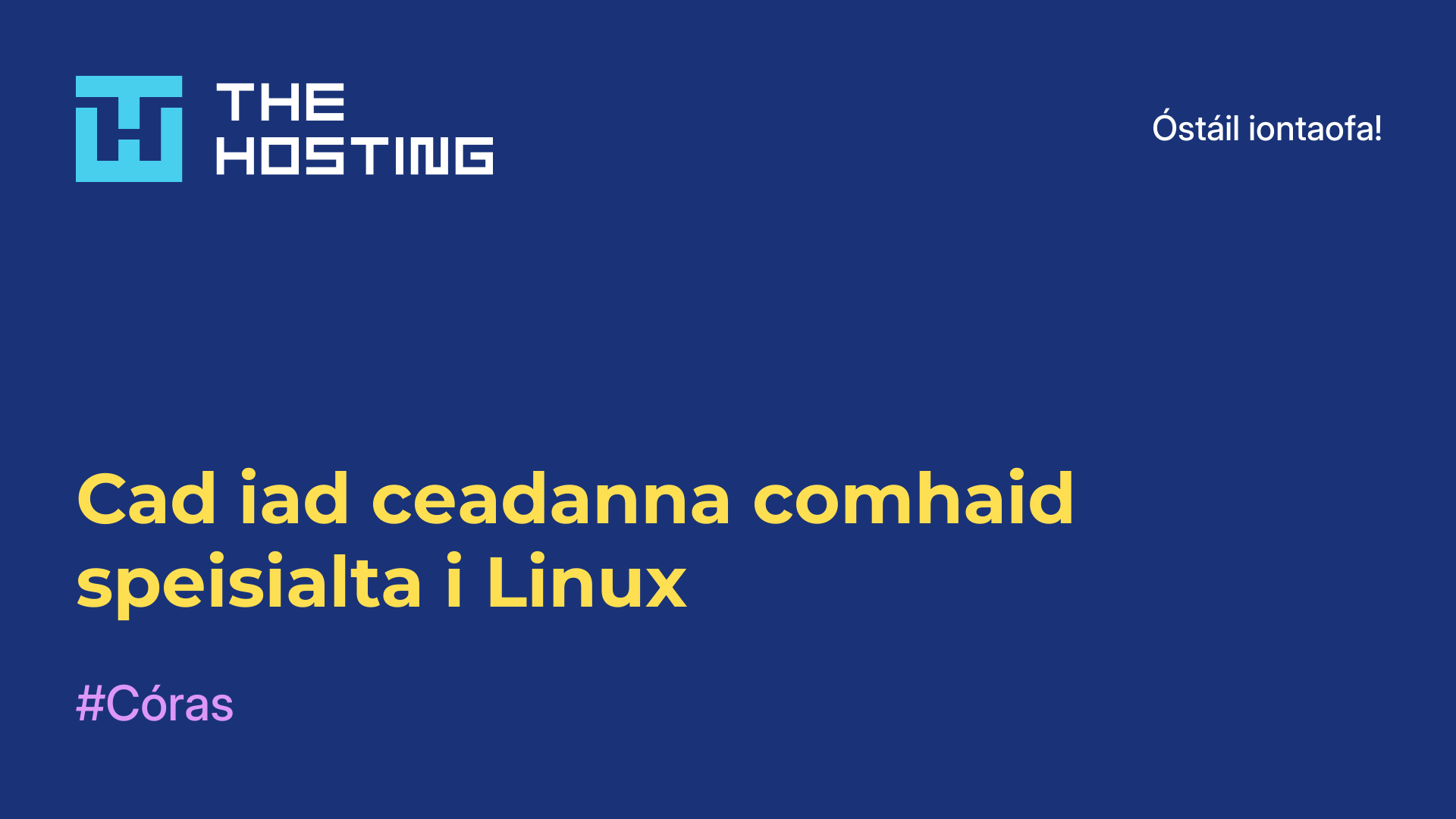 Cad iad ceadanna comhaid speisialta i Linux