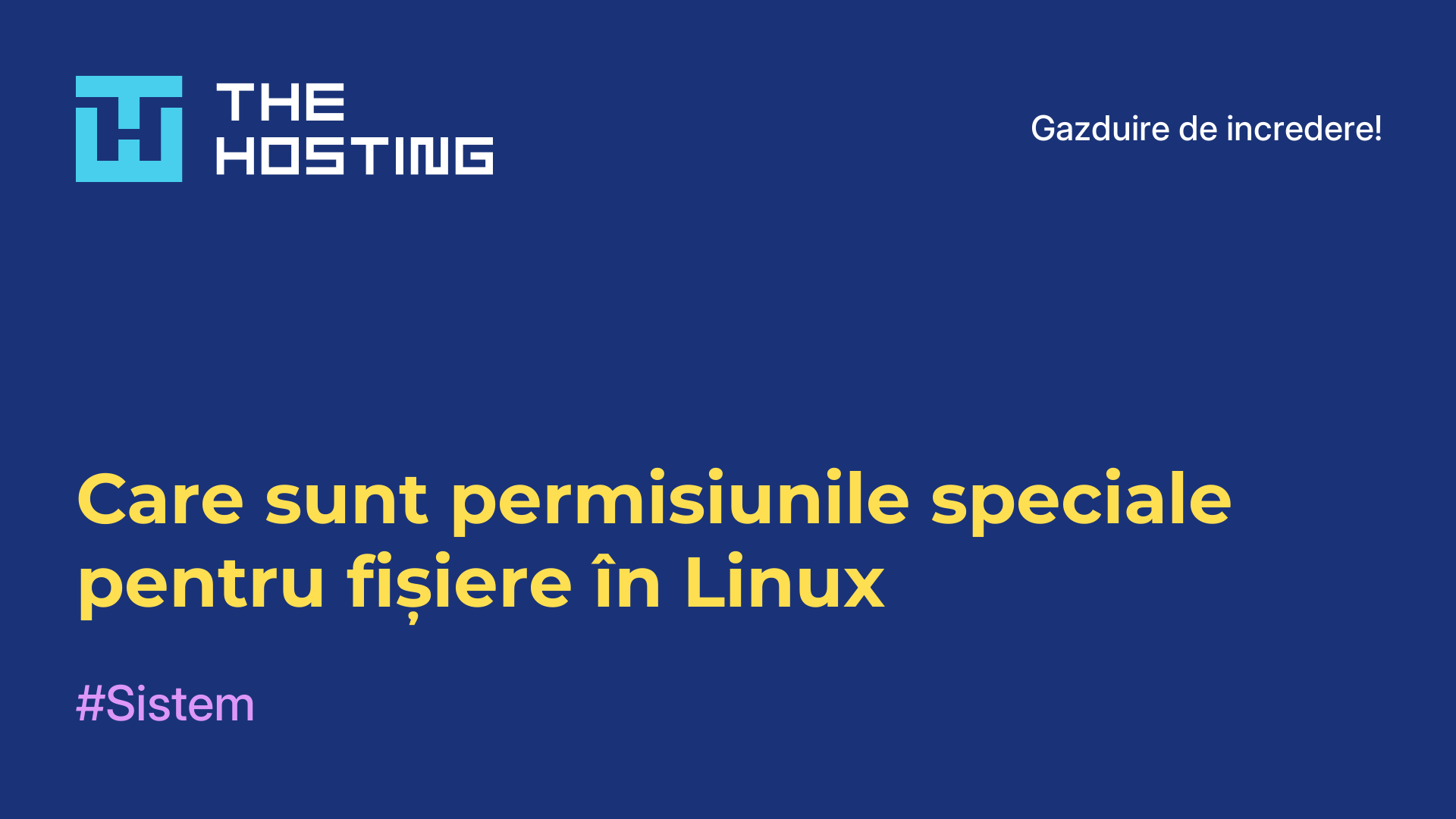 Care sunt permisiunile speciale pentru fișiere în Linux
